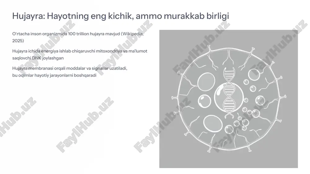 nlarini tezlashtiradi va turli patologiyalar rivojlanishiga olib keladi. energiya yetishmovchiligi ko'plab surunkali kasalliklarning ildizi hisoblanadi. 6 bioelektromagnit maydonlar va hujayra faoliyati elektromagnit terapiya hujayra energiyasini tiklash va tiklanish jarayonlarini rag'batlantirishda qo‘llanilmoqda (chiropractic resource organization, 2025). diagnostika mri va eeg kabi texnologiyalar hujayra va to‘qimalardagi energiya oqimini aniq o‘lchashda yordam beradi. hujayra tiklanishi to‘g‘ri chastotadagi elektromagnit nurlar hujayra tiklanishini rag‘batlantirib, jarohatlarni bitishini tezlashtiradi. 7 klinik misol: saraton kasalligida hujayra proliferatsiyasini boshqarish saraton hujayralarining energiya metabolizmi o‘zgargan; ular glyukoza iste'molini keskin oshiradi (warburg effekti). yangi dori va terapiyalar hujayra energiyasini va signalizatsiyasini maqsadli boshqarishga qaratilgan bo'lib, sog'lom hujayralarga zarar yetkazmasdan saraton hujayralarini yo'q qilishga intiladi. bu yondashuvlar saratonni samarali davolashda, ayniqsa, shaxsiylashtirilgan tibbiyotda umidli natijalar bermoqda. 8 tibbiyotda hujayra energiyasi va ma'lumot oqimini o‘rganishning kelajagi 01 energiya tibbiyoti bioelektromagnit tadqiqotlar va nano-texnologiyalar yordamida yangi, invaziv bo'lmagan davolash usullari yaratilmoqda. 02 kasalliklarning oldini olish hujayra ichidagi oqimlarni boshqarish orqali ko‘plab kasalliklarni oldini olish …