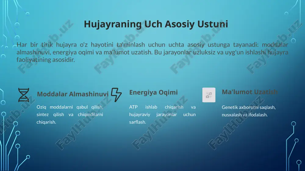 atsiyasi irsiy ma'lumotni nusxalash. transkripsiya dnkdan rnk sintezlash. translatsiya rnkdan oqsil sintezlash. 5 hujayra proliferatsiyasi: sog'lom o'sish va bo'linish hujayra proliferatsiyasi — bu hujayralarning bo'linish orqali ko'payishi jarayoni. bu jarayon to'qimalarning o'sishi, shikastlangan qismlarni tiklash va immunitet javobini shakllantirish uchun muhimdir. sog'lom hujayra proliferatsiyasi qat'iy nazorat ostida bo'ladi va hujayra tsikli tomonidan boshqariladi. 6 tibbiyotda hujayra proliferatsiyasi muammolari hujayra proliferatsiyasining buzilishi ko'plab kasalliklarning, ayniqsa saratonning asosidir. nazoratsiz hujayra bo'linishi patologik holatlarga olib keladi. saraton nazoratsiz hujayra o'sishi va tarqalishi. autoimmun kasalliklar haddan tashqari immunitet hujayralarining ko'payishi. regenerativ tibbiyot to'qimalarni tiklash uchun hujayra o'sishini boshqarish. 7 saraton: nazoratsiz proliferatsiya oqibati saraton hujayra proliferatsiyasini tartibga soluvchi genlardagi mutatsiyalar natijasida yuzaga keladi. bu mutatsiyalar hujayralarning nazoratsiz bo'linishiga va o'sma hosil bo'lishiga olib keladi. hujayra tsikli nazorat punktlarining buzilishi. apoptosis (rejalashtirilgan hujayra o'limi) jarayonining buzilishi. angiogenez (yangi qon tomirlari shakllanishi) stimulatsiyasi. metastaz (boshqa to'qimalarga tarqalish) qobiliyati. 8 tadqiqot va terapevtik yondashuvlar hujayra proliferatsiyasini tushunish …