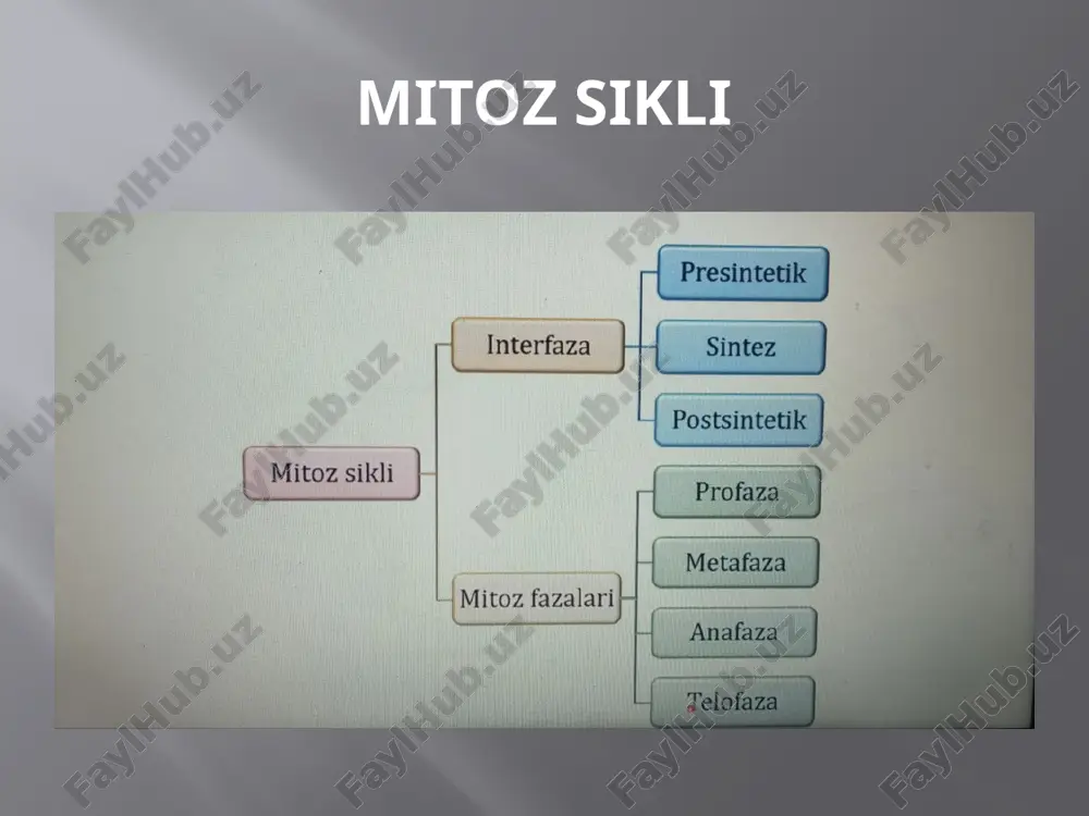 mitoz va meyoz - Page 2