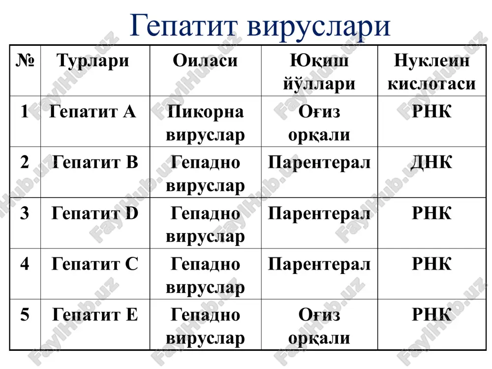shaklga o'tmaydi kasallik yashirin ko'rinishda ham kechishi mumkin diagnostikasi qon zardobi va plazmasi, najas mikroskopiya - elektron mikroskopiya serologik usul – ifa, ria pzr jigar fermentlari va bilirubin fraktsiyalari immuniteti inson umrining oxirigacha etadigan turg'un immunitet hosil bo'ladi davolash va profilaktikasi odam normal immunoglobulini o'ldirilgan vaktsina (2 marotaba) laboratoriya tashxisi tekshirish materiallari – bemor najasi, qon zardobi, qon plazmasi mikroskopik metod - elektron mikroskopiya serologik metod – ifa, ixla qon zardobida igm, igg pzr jigar fermentlari va bilirubin gepatit v virusi har yili er yuzida 50 mln yangi bemorlar jsst ning ma'lumotlariga ko'ra 1 mlrd odam gepatit v virusini tashuvchisi hisoblanadi 1947 yilda f. mak-kallum gepatit v virusini «zardob virus» deb atadi 1961-1964 yil blumberg «avstralik» antigen (hbsag) 1970 yilda deyn gepatit v virusining antigenlarini o'rgandi morfologiyasi oilasi – gepadnoviruslar hepadnaviridae virus sferik shaklda 42 – 45 nm 2 ipli dnk tutadi, dnk ipida nuqsonli bo'lagi mavjud bo'lib, unda dnk-polimeraza …