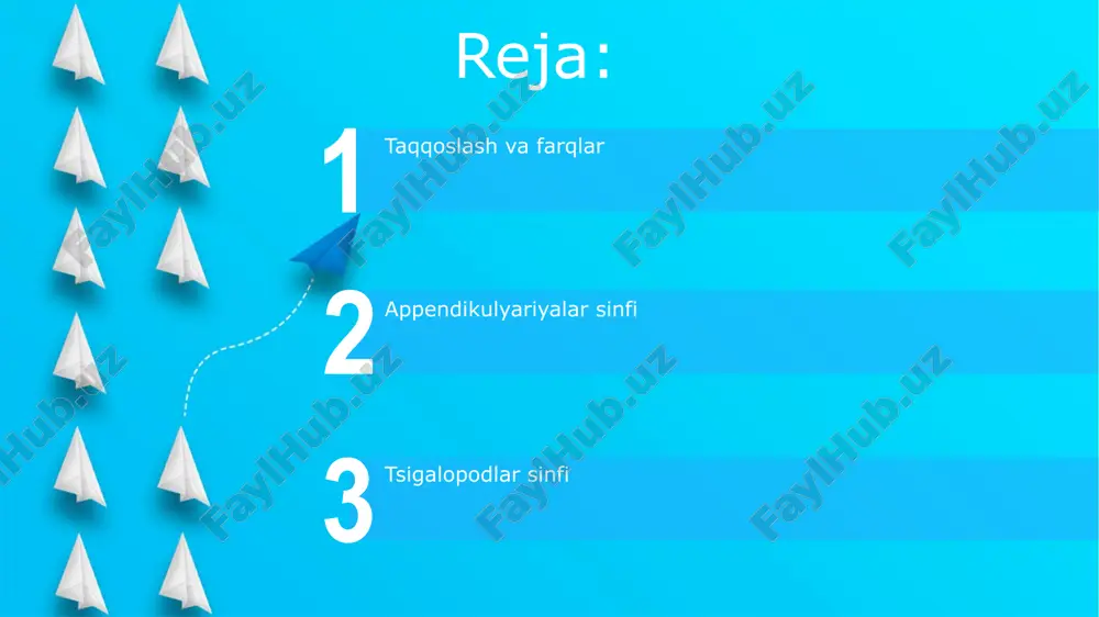 sinfi: umumiy tavsif cephalopoda sinfi a'zolari, jumladan, sakkizoyoqlar va kalmarlar, 800 dan ortiq turi mavjud bo'lib, ularning boshlari oyoqlari bilan bevosita bog'langan bo'ladi. ushbu sinf vakillari murakkab nerv sistemasi va yuqori darajadagi aqlga ega, ko'pchilik turlari esa rangini o'zgartirish xususiyatiga ega, bu ularga kamuflyajda yordam beradi. cephalopodalarning qon aylanish tizimi yopiq bo'lib, 3 ta yurakdan iborat: 2 tasi jabrlarga qon haydaydi, 1 tasi esa butun tanaga qonni tarqatadi. appendicularia sinfi: tuzilishi va fiziologiyasi ular plankton bilan oziqlanadi. "uy" ichidagi murakkab filtratsiya tizimi orqali mayda zarralarni (0.1-1 mikrometr) ushlab qoladi va og'izga yo'naltiradi. appendikulyariyalar tanasi ikki qismdan iborat: bosh va dum. dum qismi sellyulozadan tashkil topgan "uy" (inglizcha: house) ichida joylashgan, bu filtratsiya apparatidir. appendikulyariyalar jinsiy yo'l bilan ko'payadi. urg'ochi individlar 100 dan ortiq tuxum qo'yishi mumkin. lichinkalar metamorfozdan so'ng kattalarga aylanadi. cephalopoda sinfi: tuzilishi va fiziologiyasi start sefalopodalar harakatlanishi reaktiv usulda amalga oshiriladi: ular mantiya bo'shlig'iga suvni so'rib oladi va …