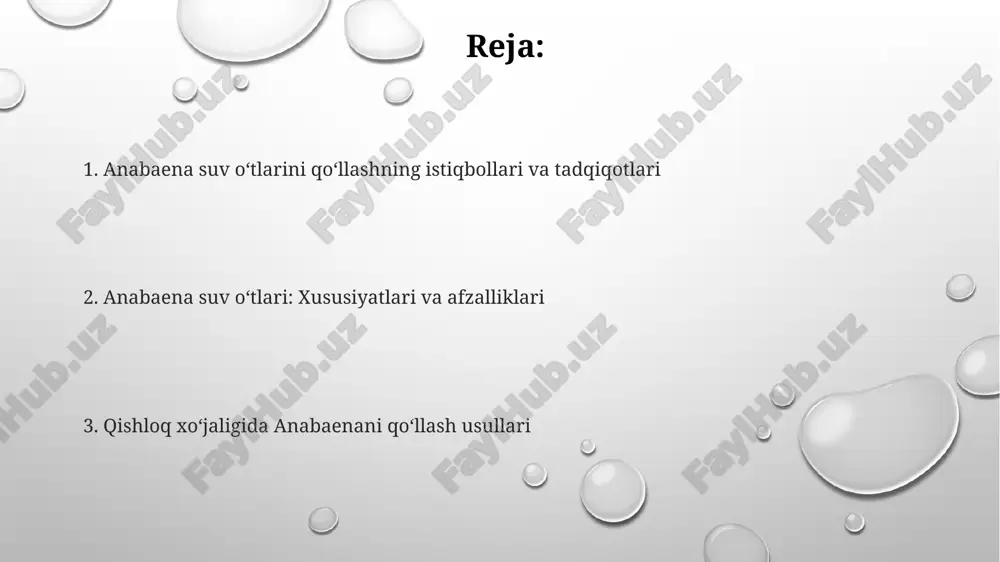 ogik o'g'it sifatida anabaenadan foydalanish anabaena azotni fiksatsiya qilish qobiliyati tufayli biologik o'g'it sifatida qishloq xo'jaligida keng qo'llaniladi, bu tuproq unumdorligini 20-30% ga oshirishi mumkin. anabaena sholining hosildorligini oshiradi va mineral o'g'itlarga bo'lgan ehtiyojni kamaytiradi, chunki u tuproqda 15-25 kg/ga azotni biologik yo'l bilan biriktirishi mumkin. anabaena o'simliklar uchun muhim bo'lgan vitaminlar (masalan, b12) va o'sish regulyatorlarini ishlab chiqaradi, bu esa hosil sifatini yaxshilaydi va 10-15% ga ko'paytiradi. kirish "kirish" qismida anabaena suv o'tlarining azot fiksatsiyalash xususiyatlari va qishloq xo'jaligida ularning potensial ahamiyati haqida ma'lumot beriladi, bu o'simliklarga foydali ta'sir ko'rsatadi. "kirish" bo'limida anabaenaning tuproq unumdorligini oshirish va kimyoviy o'g'itlardan foydalanishni kamaytirishga qo'shadigan hissasi, shuningdek, ekologik afzalliklari ta'kidlanadi. "kirish" qismi anabaena suv o'tlari haqidagi taqdimotning boshlang'ich qismi bo'lib, unda mavzuning dolzarbligi va qisqacha mazmuni yoritiladi, maqsad aniq ko'rsatilishi shart. anabaenani qo'llash usullari anabaena azotni biologik fiksatsiyalash orqali tuproq unumdorligini oshiradi, bu jarayon orqali atmosfera azotini ammiakka aylantiradi, bu esa ekinlar …