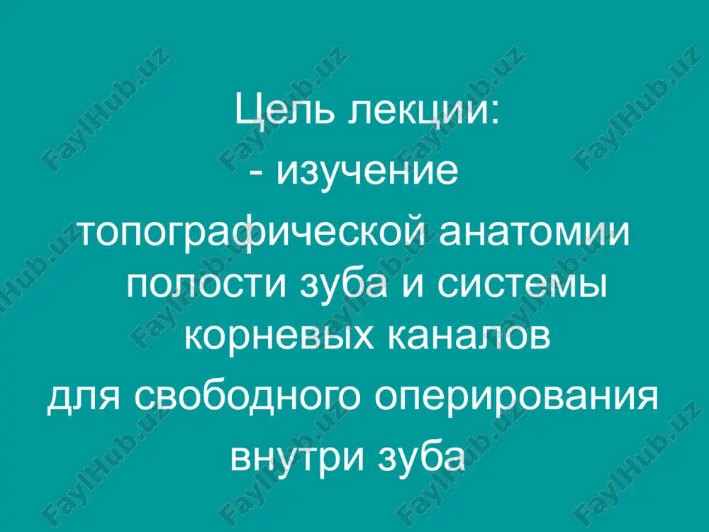 enniy treugolnik ili trapetsiya s 3 – 5 ustyami formula zubov chastota vstrechaemosti korney v zube, % chastota vstrechaemosti kanalov v zube, % 1 2 3 1 2 3 4 verxnyaya chelyust 1 100 — — 100 — — — 2 99 1 — 99 1 — — 3 99 1 — 99 1 — — 4 19 80 1 4 95 1 — 5 90 9 1 75 24 1 — 6 — 15 85 — — 60 40 7 1 19 80 1 2 57 40 nijnyaya chelyust 1 100 — — 60 40 — — 2 98 2 — 56 44 — — z 98 2 — 94 6 — — 4 98 2 — 94 6 -— — 5 99 1 — 89 10 1 6 98 2 - 13 80 7 7 15 84 1 3 13 77 7 formula zubov srednyaya dlina zuba v …