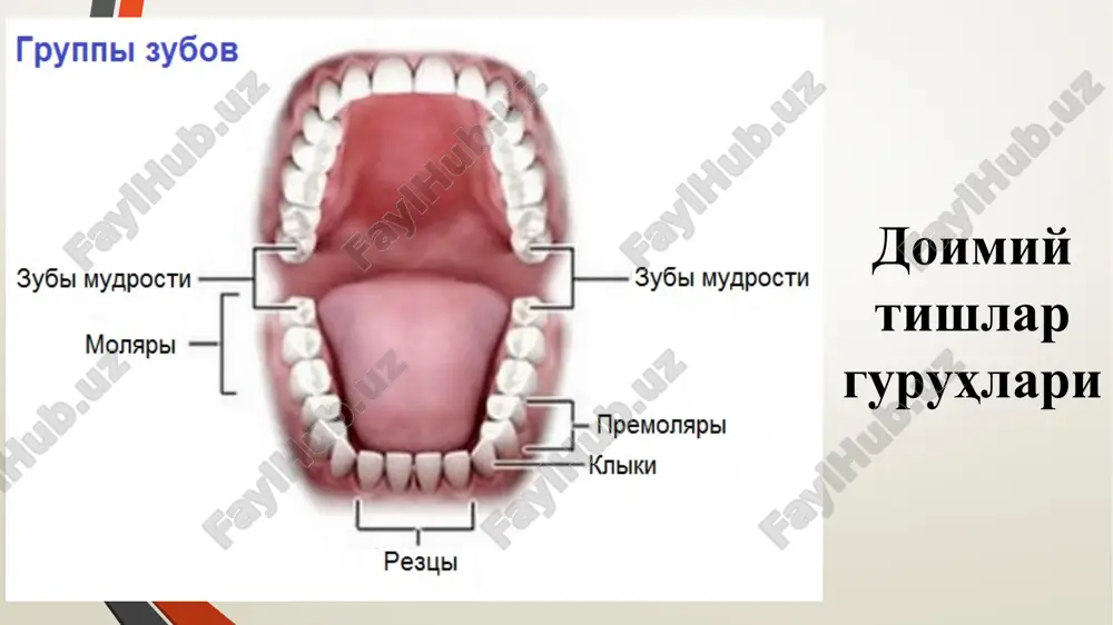 . fissur bor bilan ishlaganda, asosan borning yon qirralari bilan kovak devori vertikal, tekis bo'lguncha ochiladi karies kovagini ochishda quyidagi qoidaga rioya qilish lozim: borning hajmi karies kovagining kirish teshigi hajmidan katta bo'lmasligi kerak ikkita bir-biriga zich yopishib turgan tishlarni shu tomonidagi karies kovagini ochishda o'zgarmagan to'qimani (emal va dentin) olishga to'g'ri kelib, kovakni chaynov yoki til yuzasiga olib chiqiladi karies kovagini kengaytirish blekning “profilaktik kengaytirish” usuli. bu usul tish qattiq to'qimasini kariesga moyil bo'lgan sohalarni “immun” zonalargacha keng charxlab olib, qutisimon shakldagi kovakni shakllantirish – “ogohlantirish maqsadida kengaytirish”ni nazarda tutadi bu usul tishni faqat kariesga uchragan to'qimasini olib, maksimal ravishda sog'lom to'qimani saqlashga qaratilgan. i.g.lukomskiyning «biologik mutanosiblik» usuli s.i.vays “biologik mutanosiblik” usulining kamchiligini xisobga olib, karies kavagini sog'lom to'qima chegarasini 1 mm gacha profilaktik kengaytirishni va qolgan soxalarni ftor saqlovchi vositalar bilan ishlov berishni taklif etgan. karies kovagini tashqi qirralarini hosil qilish bosqidagi asosiy qoidalar: kovakni kengaytirish kariesga ta'sirchan …