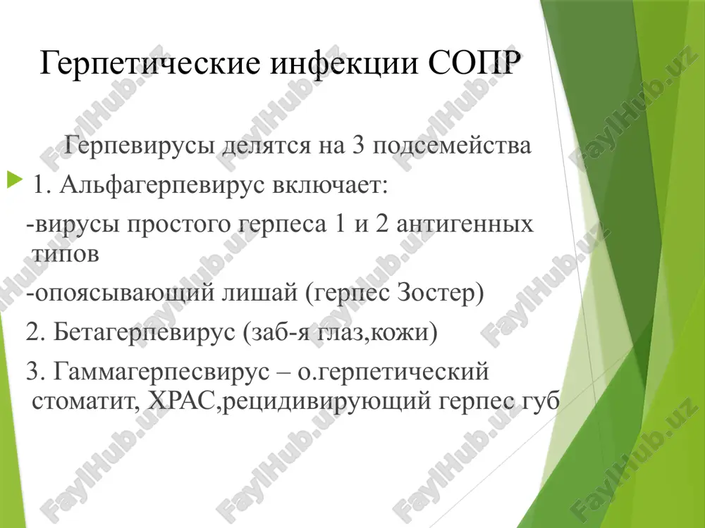 entov porajeniya pyatno – puzirek s prozrachnim soderjimim – puzirek s mutnim (fibroznim) soderjimim- uchastok nekroza epiteliya po tipu papuli (blyashki)- eroziya – afta – pyatno odnovremenno nablyudaetsya kg, limfadenit podch.sl.jelez razgar bolezni 1-2 dnya, ugasanie – dlitelnee. posle epitelizatsii elementov soxranyaetsya v obl.front.zubov kg izmeneniya v krovi otsutstvuyut 11 12 ostriy gerpeticheskiy stomatit (ogs) klinika srednetyajelaya forma. chetko virajeni simptomi toksikoza i porajeniya slizistoy obolochki polosti rta. temperatura tela do 39°, narushaetsya son, appetit mogut razvitsya simptomi orz podchelyustnie limfouzli uvelicheni, boleznenni v period razgara b-ni na pike pod'ema temperaturi, usilennoy giperemii i otechnosti slizistoy poyavlyayutsya mnojestvennie elementi porajeniya, kotorie imeyut tendentsiyu k retsidivirovaniyu i visipayut daje na gube yarko virajenniy gingivit v krovi soe do 2ml/chas, lekopeniya 13 14 ostriy gerpeticheskiy stomatit (ogs) klinika tyajelaya forma. vstrechaetsya reje. v prodromalniy period vse priznaki ostrogo infektsionnogo zabolevaniya: ochen silnaya golovnaya bol i kojno-mishechnaya giperesteziya. nablyudayutsya simptomi porajeniya sss:bradikardiya ili …