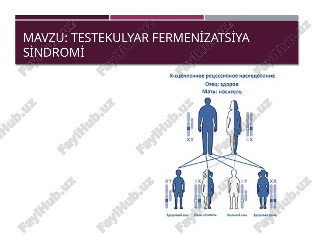 nukleotiddan (919 kodon) iborat. intronlar o'lchamlari bo'yicha 0,7 dan 26 kb gacha bo'ladi [17]. boshqa yadro retseptorlari singari, ar oqsili ham bir nechta funktsional domenlardan iborat: transaktivatsiya domeni (shuningdek, transkripsiyani tartibga solish maydoni yoki amino/nh2 terminal domeni deb ataladi), dnkni bog'lovchi domen, menteşe mintaqasi va steroid bog'lovchi domen ( karboksil ligand bog'lovchi domen deb ham ataladi).domen). transaktivatsiya maydoni 1-ekson tomonidan kodlangan va ar oqsilining yarmidan ko'pini tashkil qiladi. 2 va 3 ekzonlar dnkni bog'lash domenini kodlaydi, 4-eksonning 5' qismi esa ilgak mintaqasini kodlaydi . qolgan 4 dan 8 gacha bo'lgan ekzonlar ligand bog'lovchi domenni kodlaydi. . ar genidagi mutatsiyalar 2010 yildan boshlab ar mutatsion ma'lumotlar bazasida ushbu genning 400 dan ortiq mutatsiyasi qayd etilgan va ularning soni o'sishda davom etmoqda . meros, odatda, x-bog'langan retsessiv meros orqali onalik chizig'i orqali sodir bo'ladi. taxminan 30% hollarda ar gen mutatsiyasi o'z-o'zidan paydo bo'ladi va meros bo'lmaydi . bunday de novo mutatsiyalar gonotsitlar …