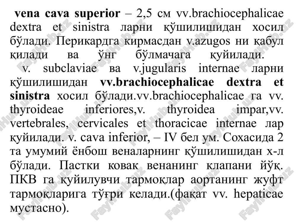 inferior). 3. kindik soxasida,uzining tarmoklari bilan vv. paraumbilicales, ig. teres hepatis orkali darvoza venasiga, v. epigastrica superior v. cavae superior sistemasidan (v. thoracica interna, v. brachiocephalica) va v. epigastrica inferior v. cavae inferior sistemasidan(v. iliaca externa, v. iliaca comminis – anastomoz v. cavae inferior, v. portae va v. cavae superior). portokaval va kavo-kaval anastomozlar xosil buladi – darvoza venasidan konni okishi kiyinlashadi jigardan (tsirroz). bunda kindik atrofidagi venalar kengayadi («golova meduzi»). 4. bel soxasida orkada, yugon ichakning mezoperitoneal uraluvchi kismlaridagi venalar ildizida (darvoza vena sistemasidan) va parietal venalar orasida vv. lumbales ( v. cavae inferior sistemasidan– anastomoz v. portae va v. cavae inferior orasida). flebografiya vena tomirlari devorining tuzilishi vena klapanlari yuqorgi kovak vena sistemasi v. azygos v. hemiazygos v.cava inferior kalla suyagi venlari miya kavatlari venalari venoznie sinusi tvyordoy mozgovoy obolochki elkaning qon tomirlari elka va bilak venalari v.. cava inferior darvoza vena sistemasi darvoza venasining topografiyasi xomilada qon …