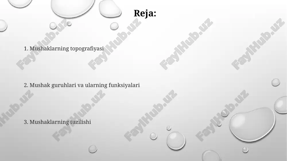 birikadi, deltoid mushak bilan chegaradosh bo'lib, qo'lning harakatlarida ishtirok etadi. ko'krak mushaklarining topografiyasi sternum, qovurg'alar va o'mrov suyagi bilan chegaralangan bo'lib, 12 juft qovurg'alar orasida joylashgan 20 ga yaqin mushakni o'z ichiga oladi. pectoralis minor mushagi 3-5 qovurg'alarga birikib, korakoid o'siqqa yetadi va nafas olishda yordamchi rol o'ynaydi, infraklavikulyar mintaqada joylashgan. skeletle mushaklarining tuzilishi skelet mushaklarining tolalari uzun, silindrsimon bo'lib, bir necha yuzta miofibrilladan tashkil topgan va har bir miofibrilla sakkizta aktin va ikkita miozin filamentlaridan iborat. mushak hujayralari (miotsitlar) sarkomerlardan tashkil topgan bo'lib, sarkomerlarning uzunligi mushak qisqarishi va bo'shashishi jarayonida 20-35% ga o'zgaradi. har bir skelet mushagi bir yoki bir nechta qorinlardan (ventrikula) va ikki uchidan paylar bilan birikkan bo'lib, ular suyaklarga yoki boshqa tuzilmalarga birikadi va harakatlarni bajarishda 150 ga yaqin turli xil muskullar birgalikda ishlaydi. mushak toʻqimasining turlari yurak mushagi faqat yurakda joylashgan boʻlib, oʻziga xos tarmoqlangan tolalari va bir-biriga bogʻlangan disklar tufayli ritmik qisqarishni ta'minlaydi. mushak …