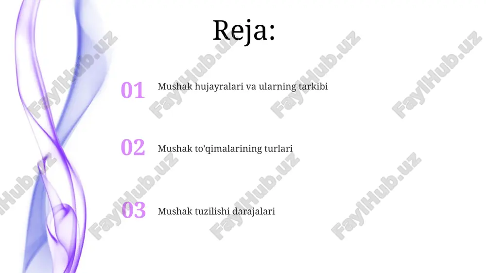r, asosan, zich biriktiruvchi to'qimadan, ya'ni 70% dan ortiq kollagen tolalaridan iborat. mushak tolalarining bir-biriga bog'lanishini ta'minlovchi endomiy, perimiy va epimiy kabi uchta asosiy biriktiruvchi to'qima qatlami mavjud bo'lib, ular mushakning tuzilishi va kuchini belgilaydi. muskulning rivojlanishi va o'sishi to'g'ri oziqlanish va mashqlar muskul massasini 1-2 kg ga oshirishga imkon beradi, ammo bu o'sish sur'ati yosh, jinsi va individual xususiyatlarga qarab farq qiladi, ya'ni har kim uchun har xil. muskul o'sishi hipertrofiya jarayoni orqali sodir bo'ladi, bunda individual muskul tolalarining hajmi 15-20% ga ortadi va bu kuchlanish va protein sintezining ko'payishi bilan bog'liq. miofibrillalar va ularning joylashuvi har bir sarkomer ikkita z-chiziq bilan chegaralangan va taxminan 2-3 mikrometr uzunlikda boʻladi, miofibrillalarni uzunligi bo'ylab joylashuvi mushak qisqarishini ta'minlaydi. miofibrillalar uzunlamasına oʻzaro parallel ravishda joylashgan boʻlib, sarkomer deb ataluvchi takrorlanuvchi birliklardan tashkil topgan. muskulning himoya mexanizmlari mushak hujayralarining ichida joylashgan mioglobin oqsili kislorodni saqlab, mushaklarning gipoksiyadan himoyalanishiga yordam beradi, bu esa mushaklarning …