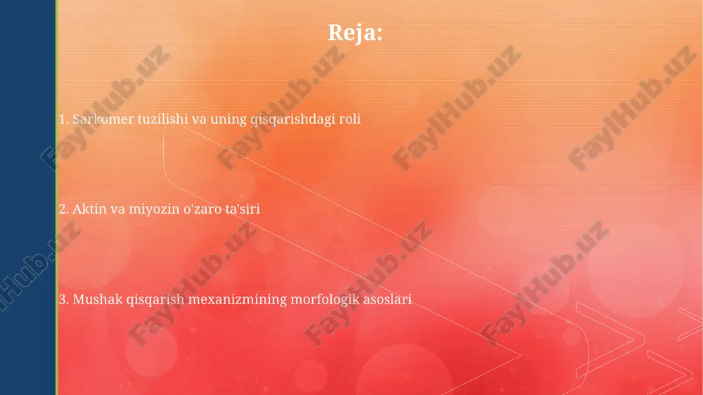 a olib keladi. taxminan 20-40 millisekund davom etadi. kaltsiy ionlarining roli kaltsiy ionlari atp gidrolizini faollashtirib, miyozin boshchalarining aktin filamenti ustida siljishini ta'minlaydi, natijada sarkomer qisqaradi va mushak kuchini hosil qiladi. mushak hujayrasida sitoplazma retikulumidan taxminan 10 -3 mol/l konsentrasiyada kaltsiy ionlari chiqishi mushak qisqarishining boshlanishi uchun muhimdir; bu jarayon ca 2+ kanallarining ochilishi bilan bog'liq. neyromuskulyar birikma asetilxolin neyrotransmitterining mushak tolasi membranasiga ta'siri natijasida mushak hujayrasida 20 mv ga yaqin depolarizatsiya yuz beradi, bu esa harakat potentsialini keltirib chiqaradi. neyromuskulyar birikmada 100 dan ortiq asetilxolin retseptorlari mavjud boʻlib, ular mushak tolasi membranasining motor yakun plastinkasida joylashgan. atpning ahamiyati sarkoplazma retikulumidagi kaltsiy ionlarining atpga bog'liq nasosi, mushaklarning bo'shashishi uchun kaltsiy darajasini nazorat qilib, mushak qisqarishini to'xtatadi, bu esa energiya sarfini ta'minlaydi. atp gidrolizidan hosil bo'lgan energiya miyozin boshchasining aktin filamentiga birikishi va siljishi uchun zarur bo'lib, bu esa sarkomerning 10 nm ga qisqarishiga olib keladi. kross-ko'prik sikli kross-koʻprik sikli jarayonida …