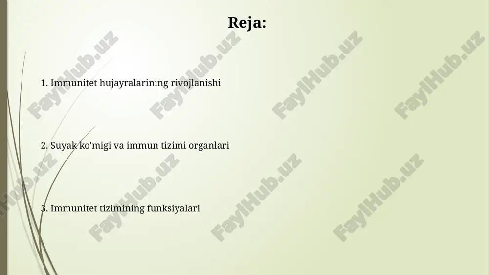 lishda muhim rol o'ynaydi. limfa tugunlari va ularning roli limfa tugunlarining yallig'lanishi (limfadenopatiya), infektsiyaning mavjudligini yoki immun tizimining buzilishini ko'rsatuvchi muhim klinik belgidir, ko'pincha bakteriyalar sonining ko'payishi bilan bog'liq. har bir limfa tuguni, filtrlash funksiyasini bajaradigan, antijenlarni ushlab qoluvchi va immun javobni boshlaydigan b va t limfotsitlari kabi turli xil immun hujayralarini o'z ichiga oladi. taloqning immunitet tizimidagi ahamiyati talok, limfa tugunlari bilan birga, taxminan 1 kg og'irlikdagi limfoid to'qima massasining 25% ni tashkil qiladi va b-hujayralarni yetishtirishda muhim rol o'ynaydi, immunitetning humoral javobini ta'minlaydi. talok qon filtratsiyasi orqali kuniga 350 litrgacha qonni qayta ishlaydi, qariygan eritrotsitlarni yo'qotadi va qon oqimiga kirgan bakteriyalarni, viruslarni va boshqa patogenlarni faol ravishda yo'q qiladi. timus bezi va t-limfositlarning yetilishi timoz bezida t-limfositlarning pozitiv va negativ seleksiyasi jarayonlari sodir bo'lib, taxminan 98% autoreaktiv t-hujayralari yo'q qilinadi. timoz bezining faoliyati yoshga bog'liq ravishda o'zgaradi, tug'ilishdan keyin maksimal faollikka erishadi va keyinchalik asta-sekin kamayib boradi, bu …