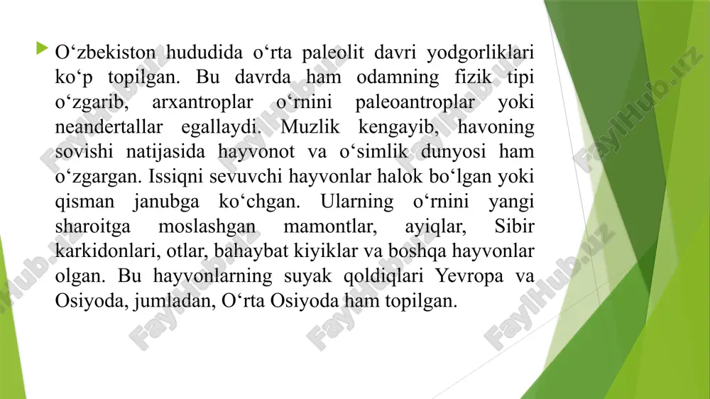 chuqurligi 21 metrva balandligi 9 metrdir. yodgorlik 5 ta madaniy qatlamdan iborat, bu esa manzilgoh bir necha marotaba tark etilganidan dalolat beradi. qatlamlardan o‘choq qoldiqlari, 3000 dan ortiq tosh qurollar va ularning qoldiqlari, arxar, kiyik, yovvoyi ot, qoplon, quyon kabi hayvonlar va qushlarning suyaklari topilgan. qurollar ohaktosh, yashma, kvarsit va vulqoniy jinslardan tayyorlangan. ular orasida paykonlar, qirg‘ichlar, tosh pichoqlar va chopqilar bor. teshiktoshdan topilgan mehnat qurollarining aksariyati qirquvchi va tarashlovchi vazifalarni bajargan. bunga misol tariqasida rapidasimon nukleuslarni ko‘rsatish mumkin. g‘orda gulxan o‘rinlari ham aniqlangan. olov inson uchun juda zarur bo‘lgan, chunki muzlik davridagi iqlimning o‘zgarishi natijasida o‘rta paleolit yer yuzida eng sovuq davrlardan biri bo‘lgan. olov odamlar jamoasi hayotida muhim o‘rin tutgan. u odamlarni birlashtirgan. gulxan atrofiga ovlangan va terib olingan mahsulotlar keltirilgan. bu yerda ovqat tayyorlangan. hayvonlar olovdan qo‘rqqanligi sababli odamlarga hamla qila olmagan, odamlar bundan foydalanishgan. teshiktosh g‘oridan 9 yoshli neandertal bolaning suyaklari topilgan. bola jasadi g‘orda o‘sha …