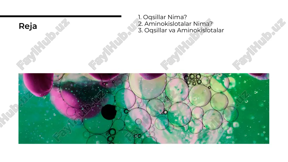 oqsillar va aminokislotalar - Page 2