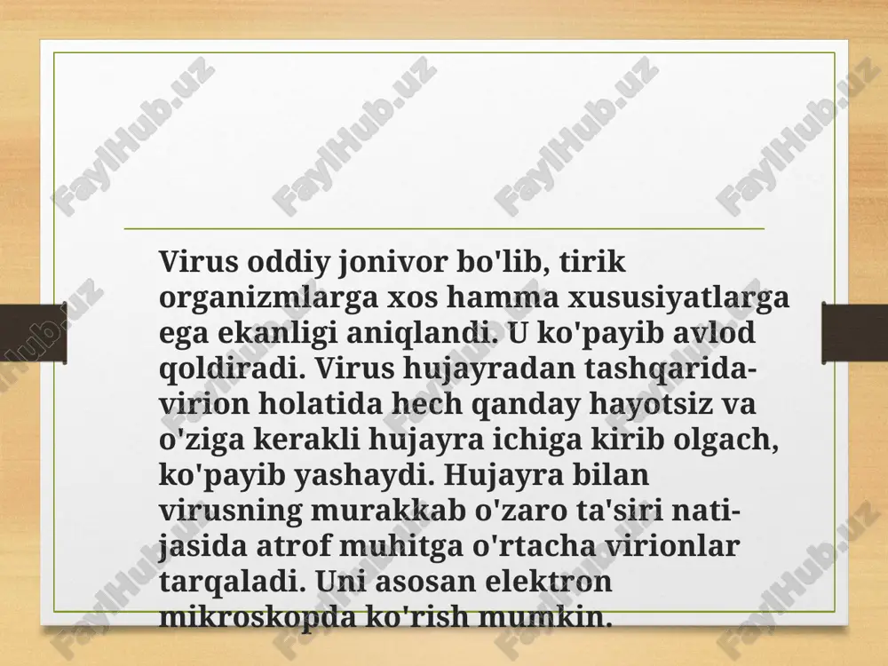 tiradi va ko'paya boshlaydi. ‹#› virus infeksiyasining formasi murakkab va xilma-xildir. ba'zi hollarda hujayrada kasallik tez avj olib, hujayrani nobud qiladi. boshqa hollarda esa u hujayra ichida go'yo yo'qolib ketgandek uzoq yillar harakatsiz yotadi. virus bilan hujayra o'rtasidagi ta'sirning binnchi tipi tez keluvchi, litik infeksiya deb atalsa, ikkinchisi- latent, surinkali yoki niqoblangan inleksiya deb ataladi. surinkali shaklda yashab, hujayra ichida uzoq muddat hara-katsiz yotadigan ba'zi viruslar organizm darmonsizlanganda, kishi sovqatganda va boshqa hollarda kasallik keltirib chiqa-rishi mumkin. 4 bakteriofaglar hatto bakteriyalar ham virusni yuqtirib olishlari mumkin! bakteriyalarni zararlaydigan viruslar bakteriofaglar deb atalib, ularning baʼzilari laboratoriyada batafsil oʻrganib chiqilgan (ayrim viruslar yanada yaxshiroq oʻrganish uchun laboratoriya sharoitida hosil qilingan). 5 bakteriofaglar bakterial xoʻjayinlarini zararlash uchun foydalanadigan ikki xil siklni koʻrib chiqamiz: litik sikl: fag (bakteriofag) bakteriyaga yuqib, uni egallaydi, keyin esa undan koʻproq faglarni hosil qilishda foydalanib, soʻng portlash (lizis) yoʻli orqali hujayrani halok qiladi. lizogen sikl: fag bakteriyani zararlaydi va …