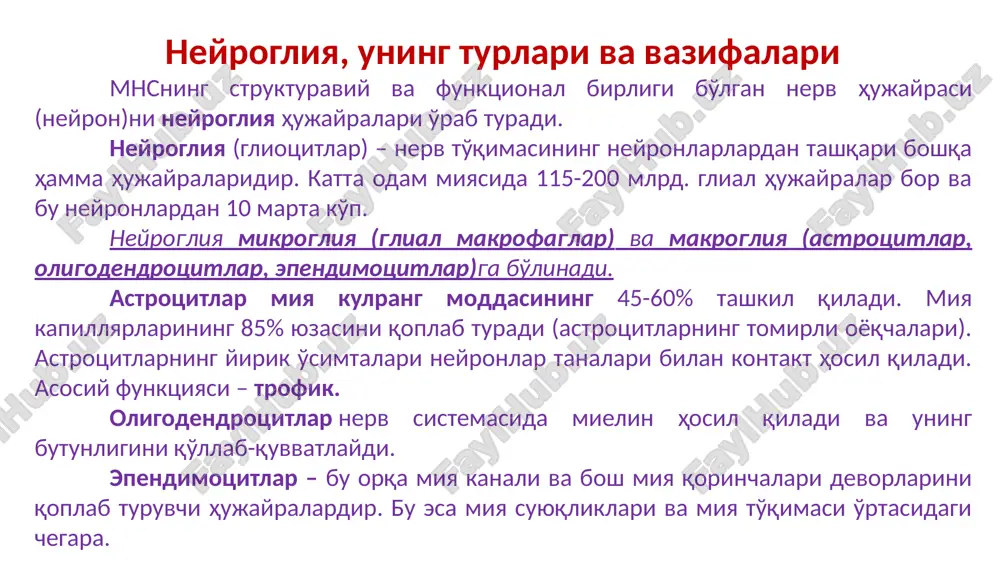 tlarda bo'ladi. miyaning integrativ faoliyatida ishtirok etadi: gliotsitlarsiz neyronlarning elektrik faolligi o'zgaradi (antiglial gamma-globulin bilan blokada); ta'sir izlari (xotira)ni, demak, shartli refleks-larni ham shakllantirishda ishtirok etishi mumkin. ependimal hujayralar bir qatorli epite-liyni eslatib, bazal membranada joylashadi va kubsimon yoki prizmasimon shaklga ega. turlari: 1 tip ependimotsitlar - miya yumshoq pardasi bazal membranasida joylashib, gematoentsefalik barer-ni hosil etishda qatnashadi. 2 tip ependimotsitlar - miya kanallari va qorincha-lari devorini qoplab turadi. ularning apikal qismlari likvor oqimi yo'nalishidagi kiprikchalar-ga ega. tanitsitlar - yuzasida vorsinkalarga ega. oligodendrotsitlar - poligonal yirik hujayralar b-b, 1-5 ta kuchsiz xilpillovchi o'simtalar-ga ega. o.lar joylashishiga ko'ra quyidagilarga bo'linadi: satelitlar – periferik nerv tugun (gangliy)lar neyronlari tanalarini o'rab turuvchi o.lar; markaziy gliotsitlar – mns dagi neyronlar tanalarini o'rab turuvchi oligodendrotsitlar; nerv tolalarini umulashtiruvchi oligodendrotsit-lar (shvann hujayralari). astrotsitlar - kichik hujayralar b-b, ko'plab shoxlanuvchan o'simtalarga ega. turlari: protoplazmatik astrotsitlar - kulrang moddada uchraydi, ularning o'simtalari kuchli shoxlanadi va ko'plab glial membranalarni …