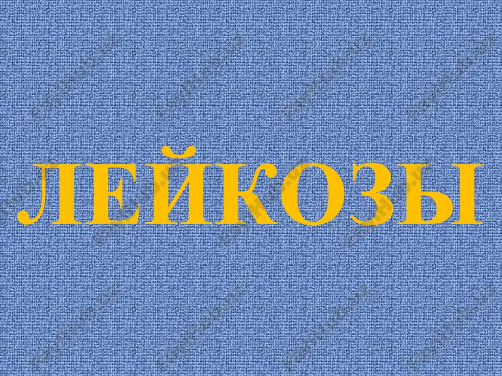 ialnoy trombotsitemii, granulotsiti - pri xml, megakariotsiti – pri mieloidnoy metaplazii. mieloproliferativnie zabolevaniya sostavlyayut: istinnaya politsitemiya (pv) essentsialnaya trombotsitemiya idiopaticheskiy mielofibroz  xml gruppa mieloproliferativnix zabolevaniy na segodnya vklyuchaet: mielodisplasticheskie sindromi eto predleykoznie stadii formirovaniya oml, pri kotorix klonalno proliferiruyushie stvolovie kletki km obnarujivayut elementi anaplazii, a proyavleniy giperplazii v perifericheskoy krovi net. * v bolshinstve sluchaev snijaetsya produktsiya granulotsitov, er i tr, chto privodit k razvitiyu pantsitopenii. eti patologii otnosyat k refrakternim anemiyam, potomu chto nikakaya standartnaya terapiya (fe, vit.b12, folati…) anemiyu ne korrigiruyut: refrakternie anemii  sidero-blasticheskie anemii leykozi eto gruppa neoplasticheskix narusheniy, zatragivayushaya leykopoeticheskie tkani, kletki kotorix * pervonachalno proliferiruyut v km, a zatem disseminiruyut v krov, selezenku, limfouzli i v drugie tkani. leykozi xarakterizuyutsya: leykotsitozom,  nezrelimi leykotsitami v perifericheskoy krovi,  proliferatsiey nezrelix kletok v kostnom mozge s ugneteniem normalnoy tkani. primeri xromosomnix perestroek  ph– xromosoma: translokatsiya t (9;22) pri xml i pri oll: …