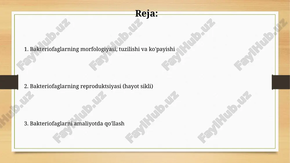 zanjirli dnk, ikki zanjirli rnk va bir zanjirli rnkli faglar ham mavjud. bakteriofaglarning tasnifi bakteriofaglar, asosan, nuklein kislotasining (dnk yoki rnk) turiga qarab ikkita katta guruhga boʻlinadi: dnk-faglar va rnk-faglar. dnk-faglar koʻproq uchraydi va muhim ahamiyatga ega. strukturaviy tuzilishiga koʻra, bakteriofaglar turli xil morfologik tiplarga boʻlinadi, masalan, myoviridae (uzun qisqaruvchi dumli), siphoviridae (uzun qisqarmaydigan dumli) va podoviridae (qisqa dumli). bakteriofaglarning reproduktsiyasi: litik sikl litik siklda faga dnk hujayraga kiritilgandan so'ng, fag genlari darhol transkripsiya qilinadi va oqsillar sintezlanadi, bu hujayra dnksini degradatsiya qilish uchun zarur. virusli zarralar yig'ilgandan so'ng, lizis oqsillari ishlab chiqariladi. bu oqsillar bakterial hujayra devorini parchalab tashlaydi, natijada 200 tagacha yangi faglar chiqib, boshqa hujayralarni zararlaydi. bakteriofaglarning reproduktsiyasi: lizogenik sikl lizogenik siklda fag dnksi xoʻjayin xromosomasiga qoʻshilib, profagga aylanadi, shu holatda bir necha avlod davomida replikatsiya davom etadi. profag genlari repressor oqsillar orqali transkripsiyani bloklaydi; tashqi omillar repressorni faolsizlantirsa, litik siklga oʻtish mumkin. bakteriofaglarning genetikasi va evolyutsiyasi …