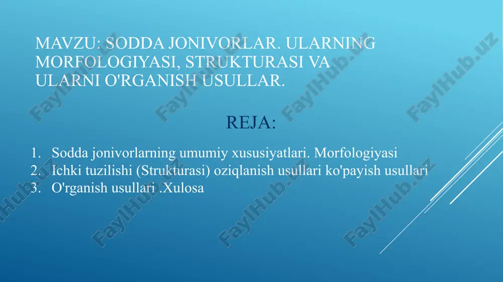 a huiayradan tashkil topgan bo'lsa ham, ko'p hujayrali organizmlarga xos bo'lgan hamma xususiyatlar: moddalar almashinuvi. ta'sirlanish, harakatlanish. muhitga moslanish, irsiyat o'zgaruvchanlik va boshqa xususiyatlar bo'ladi. sodda hayvonlar tanasida boshqa murakkab hayvonlardagi kabi ayrim vazifalarni bajaruvchi qismlar bo'lib, ular organoidlar deb nomlanadi. organoidlar bajaradigan funksiyasiga qarab harakatlantiruvchi, oziqlantiruvchi, osmos boshqaruvchi guruhlarga bo'linadi sodda hayvonlaming kattaligi 3-4 mkm dan 2,5-3sm gacha (foraminiferalar) bo'ladi. harakat organoidlariga ildiz oyoqlar, xivchinlar, kipriklar; ovqat hazm qilish organoidlariga - hazm vakuolalari, sitostom, sitofarinkis, sitoprakt - chiqaruv tcshigi kiradi qisqaruvchi vakuolalar osmoregulyatsiyani, chiqarish va nafas olishni boshqarib turadi. chuchuk suvlarda erkin yashaydigan ko'pgina sodda hayvonlarda qisqaruvchi vakuolalar bo'ladi. bular pufakchaiar ko'rinishida bo'lib, pulsatsiya qilib turadi va keraksiz dissimilyatsiya natijasida hosil bo'lgan ortiqcha suyuq moddalami tashqariga chiqarib turadi. ba'zilarida hujayralarga xos bo'lgan qismlardan: yadro, protoplazma (sitoplazma), tanani qoplab turadigan qobiqdan tashkil topgan. mikroskop ostida hayvonning sitoplazmasida tashqi gomogen (bir xil tuzilishli) qatlam - ektoplazmani va ichkarida joylashgan donador cndoplazmani …
