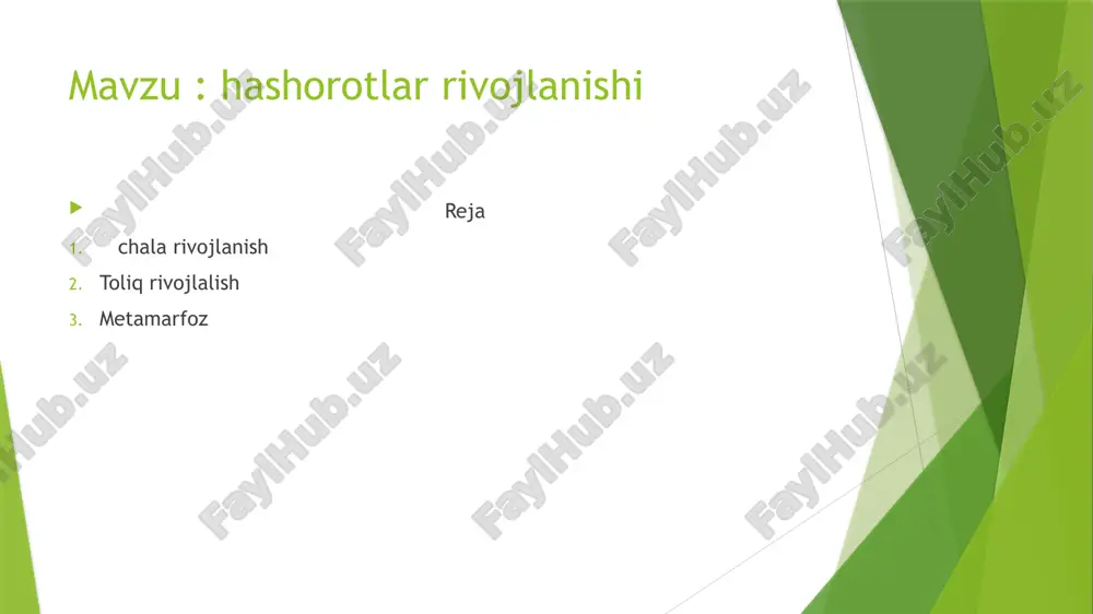 alimova mohlaroyning entamalogiyadan tayorlagan taqdimoti - Page 2