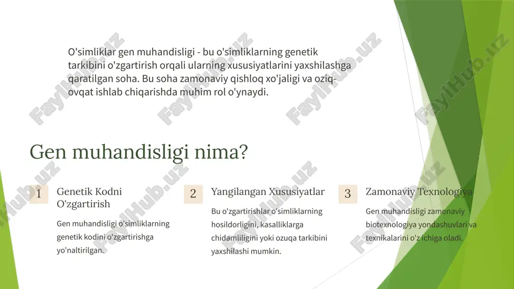 gen muhandisligining tarixi 20-asrning 70-yillaridan boshlangan bo‘lib, birinchi transgenik o‘simliklar 1983-yilda yaratilgan. zamonaviy texnologiyalar bugungi kunda crispr, t-dna va boshqa gen muhanda shlik texnologiyalari o‘simliklarni genetik jihatdan o‘zgartirishda keng qo‘llanilmoqda. global rivojlanish dunyoda qishloq xo‘jaligida genetik modifikatsiyalangan o‘simliklar ishlab chiqarish ortib bormoqda, bu esa mahsuldorlikni oshirishga yordam beradi. o‘zbekiston konteksti o‘zbekiston o‘simliklar gen muhandisligini rivojlantirishga qaratilgan innovatsion dasturlar va loyihalar orqali qishloq xo‘jaligida o‘zgarishlarni amalga oshirmoqda. gen muhandisligi usullari 1 gen izolyatsiyasi mavjud genlar o'simlikning dntidan ajratiladi. 2 gen vektorlar ajratilgan genlar bakteriyalar yoki viruslar kabi vektorlarga kiritiladi. 3 o'simlik hujayralariga kiritish vektorlar yordamida genlar o'simlik hujayralariga kiritiladi. 4 transgen o'simliklar gen o'zgartirilgan hujayralar o'sib-ulg'ayganida, ular transgen o'simliklarni hosil qiladi. 6 genetik modifikatsiyaning o'simliklar rivojiga ta'siri va afzalliklari. 1 o'simliklarni yaxshilash genetik modifikatsiya orqali o'simliklar sifatini oshirish, pestlarga chidamlilik va hosil yetishtirishda samaradorlikni oshirish mumkin. 2 ekologik moslashuv genetik modifikatsiya o'simliklarni ekstremal iqlim sharoitlariga moslashtirishga yordam beradi, bu esa qishloq …