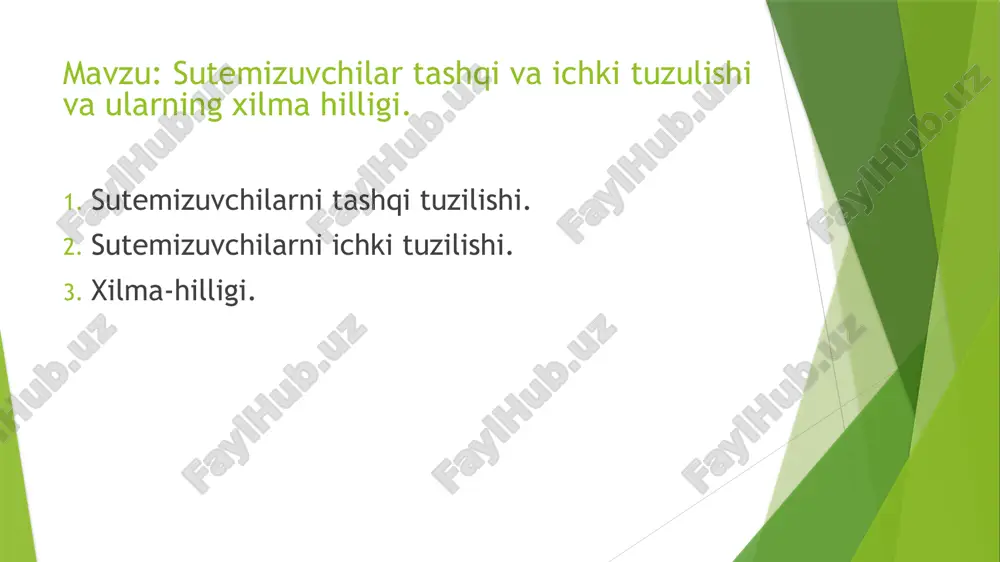 a rivojlangan. yuzda ular mimika muskullaridan iborat. bu muskullar primatlarda yaxshi rivojlangan. skeleti. umurtqa pog’onasi bo’yin,ko’krak, bel, chanoq, dum qismlariga bo’linadi. bo’yin qismida o’zgarmas umurtqalar- atlant va epistrofeyning bo’lishi xarakterlidir. bo’yin umurtqalari- 7 ta. sut emizuvchilarda bo’yinning uzunligi umurtqalar soniga emas, ularning uzunligiga bog’liq. ko’krak qismi 12-15 ta umurtqadan tashkil topgan. kengaygan oldingi segment to’shning dastasi deyiladi. bel qismida umurtqalar soni 2-9 tadan bo’ladi. chanoq qismi o’zaro qo’shilib ketgan 4 ta umurtqadan iborat. dum umurtqalarining soni hayvon turiga bog’liq. hazm qilish organlari faqat sutemizuvchilarga xos bo’lgan go’sht, lab, lunj va jag’lar orasida joylashgan, og’iz oldi bo’shlig’idan boshlanadi. bu yeda oziq mexanik maydalanadi va kimyoviy ta’sirga duch keladi. tishlari kurak, qoziq, oziq oldi, soxta oziq va oziq tishlarga bo’linadi. og’iz bo’shlig’ining orqasida xalqum joylashgan. uning yuqori qismiga ichki burun teshiklari va yevxstaiyev nayi ochiladi. tomoqning ostki tomonida hiqildoqqa ochiluvchi yoriq joylashgan. qizilo’ngach yaxshi rivojlangan. aksariyat hollarda uning muskullari silliq. ayrim kavsh …