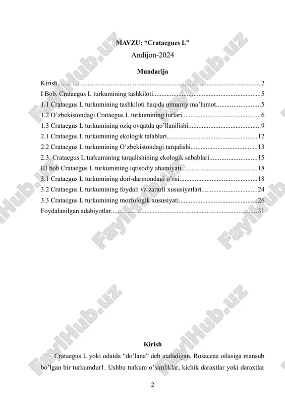 murakkab hisoblanadi. shimoliy amerikada asoslangan nomlarning taxminan 1000 tasini chop etish mumkin, lekin haqiqiy tur soni ushbu sonning 10-25% orasida bo’lishi mumkin1. crataegus l. turkumining tabiiy chegarasi chiapas va g’arbiy gvatemala crataegus l. turkumining turlari odatda ikki xil barglarga ega, bir xil yosh, ular o’simlikning yosh butalari uchun xos, va bir xil pishgan, ular odatda doimiy microblasts uchun xos (phipps, 1997). oxirgilar odatda morfologik jihatdan doimiy, ularning avvalgilar esa odatda juda o’zgaruvchan va pishgan barglardan farq qilishi mumkin. kurs ishi mavzusining dolzarbligi: “o’zbekistonda crataegus l turkumining vakillari” mavzusini o’rganishning bir nechta dolzarbliklari bor: ekologik ahamiyati: crataegus l turkumining turlari ekologik tizimlarda muhim rol o’ynaydi. ular o’zining habitatlarida biologik ko’rsatkich sifatida xizmat qilishi mumkin, shuningdek, ularning turli xil hayvonlar uchun ovqat manbasi bo’lishi mumkin. bu turkum o’rganish orqali, biz ekosistemalarning salomatligi va muvaffaqiyati haqida ko’proq bilim olamiz. iqtisodiy ahamiyati: crataegus l turkumining turlari iqtisodiy ahamiyatga ega. ular meva beradi, va ularning …