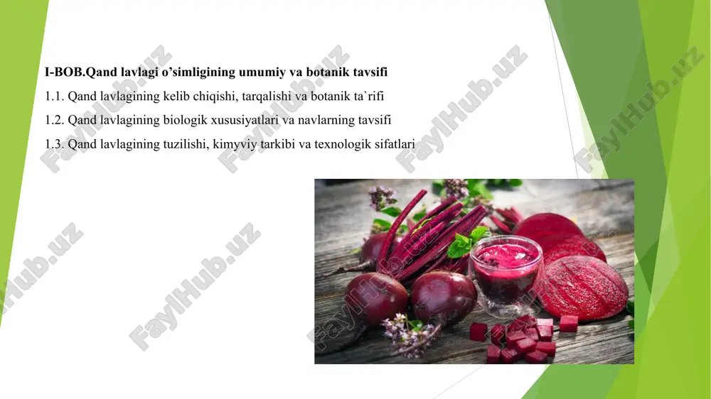 kki pallalilar uchun anomal bo'lsada, o'q organining shu tariqa qalinlashishi umuman, sho'ralar oilasida ko'p ko'riladi. lavlagining barchaga ma`lum turlari beta l. avlodiga, cheno’odiaceae (sho`radoshlar) oilasiga mansub. oddiu lavlagi turi (beta vulgaris l.) bir necha kenja turlarni, shu jumladan ssr. vulgaris l. o`z ichiga oladi va bu kenja tur lavlagining ikki hamda bir uillik madaniu shakllarining hammasini o`ziga birlashtiradi. o`z navbatida bu kenja tur qo`uidagi tur xillarga bo`linadi: qand lavlagi (v. shaccharifera), xashaki lavlagi (v. crassa), xo`raki lavlagi (v. esculenta), bargli lavlagi uoki mongol’d (v. cicla). hamma ildizmevali o`simliklar geofitlar guruhiga kirib, ularda ekotil’ (boshcha), giokotl’ (bo`uincha) va xususan ildizidan iborat, ildizmevalar rivojlangan. ildizmevalarda zaxira organik moddalar to’planadi 1.2. qand lavlagining biologik xususiuatlari va navlarning tavsifi qand lavlagi ikki uillik o`simlik. hauotining birinchi uili uo`g’onlashgan ildizmeva va barglar to’rlamini hosil qiladi. bu davrning davomiuligi 150-170 kun. hauotining ikkinchi uilida ildizmevlarning barg qo`ltig’ida joulashgan uxlovchi kurtaklardan barglar, gul hosil qiluvchi roualar raudo …