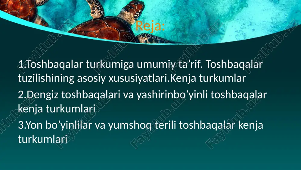 borat. . umurtqa pog’onasining bo’yin va dum bo’limlari harakatchan bo’lsa, qolgan qismlari harakatsiz bo’lib, karapaksga qo’shilib ketadi. kurak va korakoid suyaklari erkin. jag’larida tishlari yo’q lekin jag’lari o’tkir qirrali shoh qin bilan koplangan. oyoq, va bo’yin muskullari yaxshi rivojlangan, lekin qorin muskullari yo’qolib ketgan. o’pkalari juda katta va murakkab tuzilgan. o’pka ventilyasiyasi amfibiyalardagi singari og’iz bo’shlig’i tagining tilosti apparati muskullari yordamida tebranishi hamda yelka va chanoq muskullarining faol ta’siri orqali yuzaga keladi. suvda yashovchi toshbaqalarda qo’shimcha nafas olish organi bo’lib qon kapillyarlariga boy bo’lgan halqum o’simtalari hamda juft anal pufaklar xizmat qiladi. toshbaqalar tropik va mo’tadil zonalarda tarqalgan. dengiz, chuchuk suv, botqoq va quruqlikda hayot kechiradi. qattiq po’stli tuxum qo’yadi. bu kenja turkumga 140 ta tur toshbaqalar kiradi. bular chuchuk suvlarda va quruqlikda hayot kechiradi. bular boshini kosa ichiga tortib olishi bilan xarakterlidir, chuchuk suv toshbaqalari afrika, janubiy evropa, osiyo va amerikada tarqalgan.tipik vakillariga kaspiy toshbaqasi (slemmys sasiba), botqoq toshbaqasi …