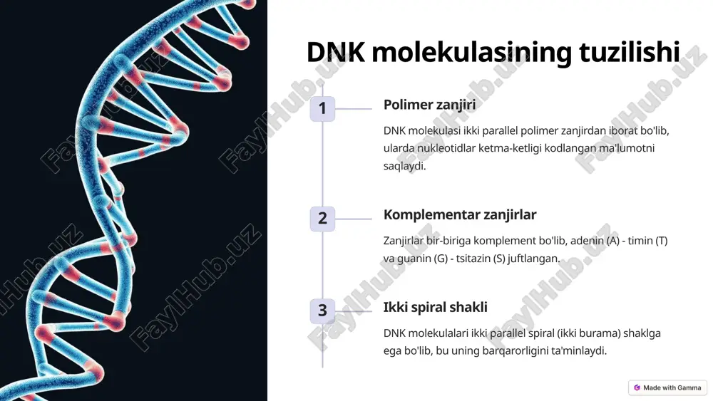 lar mutatsiyalari orqali organizm evolyutsiyasini boshqarishda hal qiluvchi rol o'ynaydi. 5 genlar va ularning tuzilishi dnk zanjiri gen tuzilishining asosiy komponenti bo'lib, nukleotid ketma-ketligini o'z ichiga oladi. promoter genning ekspressiyasini boshqarish uchun xizmat qiluvchi qism. ekzonlar translyatsiya uchun mo'ljallangan, modul tarzidagi genning faol qismlari. intronar ekzonlar orasidagi, translyatsiya uchun mo'ljallanmagan genning passiv qismlari. 6 genomning tashkil etilishi xromosomalar genom tuzilishida asosiy birlik bo'lib, dnk va unga bog'langan oqsillardan tashkil topgan. genlar xromosomalar tarkibidagi irsiy axborotni kodlaydigan biologik birliklar hisoblanadi. regulyator elementlar genlarning faolligini boshqarib, ularning aniq paytda va miqdorda ekspressiyasi uchun javobgar. 7 genom loyihasining ahamiyati yangi dori-darmonlarni kashf qilish tabiiy takrorlanmaydigan xususiyatlarga ega dori-darmondlarni ishlab chiqish uchun genomik axborotdan foydalanish mumkin. kasalliklarni oldindan aniqlash genlar xaritasining to'liq ochilishi odamlar uchun xavfli bo'lgan kasalliklarni aniqlashga yordam beradi. qishloq xo'jaligi sohasidagi rivojlanish o'simlik va hayvon genomlari ustida olib boriladigan tadqiqotlar qishloq xo'jaligini rivojlantirishga xizmat qiladi. 8 genomni o'rganishning usullari dnk ketma-ketligini …