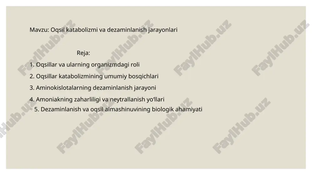 fermentlar tarkibida). nukleoproteinlar – oqsil + dnk/rnk (xromatin va ribosomalar tarkibida). biologik funksiyasiga ko‘ra: 1. struktural (tuzuvchi) – kollagen, keratin, elastin (teri, suyak, soch, tirnoqda). 2. fermentativ (katalitik) – amilaza, lipaza, pepsin, atp-sintetaza. 3. transport – gemoglobin (o₂ tashiydi), mioglobin (mushaklarda o₂ saqlaydi). 4. regulyator (gormonlar) – insulin, glukagon, somatotropin. 5. himoya (immun) – antitela (immunoglobulinlar), interferon. 6. energetik – 1 g oqsil parchalanganda 17,6 kj (4,1 kkal) energiya ajraladi. 7. zaxira – tuxum albumini, sut kazeini rivojlanayotgan organizm uchun oziqa manbai. 2. oqsillar katabolizmining umumiy bosqichlari oqsil katabolizmi — bu oqsillar va aminokislotalarning bosqichma-bosqich parchalanish jarayoni bo‘lib, u natijada energiyaning ajralishi va azotli birikmalarning hosil bo‘lishi bilan kechadi. oqsillar parchalanishida asosiy maqsad — aminokislotalardan energiya olish va azotli chiqindilarni zararsizlantirishdir. bu jarayonlar asosan jigar, mushak, va buyrak hujayralarida amalga oshadi. umuman olganda: oqsil katabolizmi natijasida: aminokislotalar energiyaga aylanadi; azotli chiqindilar (ammiak) hosil bo‘ladi; urea sikli orqali ammiak zararsizlantiriladi; organizmdagi …