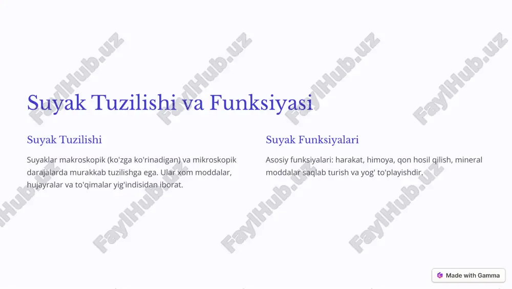 suyagi suyaklar ichidagi markaziy bo'shliq, unda suyak yog'i va qon hosil qiluvchi hujayralar joylashadi. 2 haversian kanallar suyaklar ichidagi mayda kanallar, unda qon tomir va nerv tolalari o'tadi. 3 volkman kanallar suyaklar yuzasidan haversian kanallariga kiradigan teshiklar. https://gamma.app/?utm_source=made-with-gamma suyaklardagi chuqurliklar 1 epifiz suyaklarning uchki kengaygan qismlari. 2 artikulyar sirtlar suyaklar o'rtasidagi harakatlanish uchun mo'ljallangan sirtlar. 3 nutrichal teshiklar suyaklarga qon ta'minoti uchun xizmat qiladi. 4 tuberkulyar chuqurliklar suyaklarga muskul va ligamentlar birikadigan joylardagi chuqurliklar. 5 suv o'tkazuvchi teshiklar suyaklarning hayotiy faoliyatini ta'minlaydi. https://gamma.app/?utm_source=made-with-gamma suyak kanallarining ahamiyati 200 qon tomirlari suyaklar uchun qon ta'minoti. 1000 nerv tolalari suyaklardagi sezgi va harakatni boshqarish. 5 limfa tomirlar suyaklardagi chiqindi moddalarni olib chiqib ketish. https://gamma.app/?utm_source=made-with-gamma suyaklardagi patologik o'zgarishlar osteoporoz suyak zichligining kamayishi, sinib qolish xavfi ortadi. suyak sinishlari kuchli ta'sir yoki og'ir yuk tufayli suyakning buzilishi. artrit eklem suyaklari va tog'aylarining yallig'lanishi. suyak onkologiyasi suyak to'qimalarida paydo bo'ladigan xavfli o'sma. https://gamma.app/?utm_source=made-with-gamma suyaklar sog'lig'ini yaxshilash …