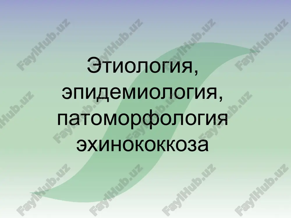 a protoskoleks sxema stroeniya izvestkovogo teltsa protoskoleksa exinokokka vnutrennyaya poverxnost germinativnoy obolochki