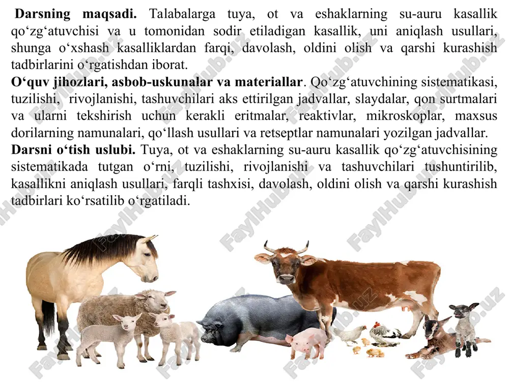 : protozoa hayvonot olami, sarcomastigophora tipi, mastigophora kenja tipi, zoomastigophora sinfi, kinetoplastida turkumi, trypanosomatina kenja turkumi, trypanosoma avlodiga kirib qo‘zg‘atuvchisi - trypanosoma ninaekohljakimovae (t.evansi). qo‘zg‘atuvchisi. trypanosoma ning tanasi sitoplazma, o‘zak, kinetoplast va bitta xivchindan iborat bo‘lib, xivchin kinetoplastdan boshlanib, tananing yonboshidan to‘lqinga o‘xshab o‘tadi va oldingi qismida erkin harakatlanib turuvchi bo‘lagi bilan tugaydi. tripanosomalar qon zardobida, ichki organlarda, limfa tugunlarda va nerv sistemasida parazitlik qiladi. ilgarilama harakat qiladi, uzunasiga oddiy 2, 4 va 6- ga bo‘linish yo‘li bilan ko‘payadi. tabiiy sharoitda qo‘zg‘atuvchi bilan tuya, ot, eshak, xachirlar, it, qoramol va yovvoyi sut emizuvchi hayvonlar, sun’iy ravishda esa laboratoriya hayvonlaridan: oq sichqon, kalamush, dengiz cho‘chqasi va quyonlar zararlanishi mumkin. klinik belgilari. kasallikning yashirin davri 12-20 kun davom etadi. kasallik o‘tkir va surunkali kechadi. hayvonning harorati ko‘tariladi (39,5-40°), keyin normal holatga keladi, vaqti-vaqti bilan yana ko‘tarilib turadi. tuyaning ishtahasi yo‘qoladi, kavshamay qo‘yadi, bo‘shashadi. bo‘yin limfa tugunlari kattalashib, yaqqol ko‘rinadigan bo‘lib qoladi. hayvon …