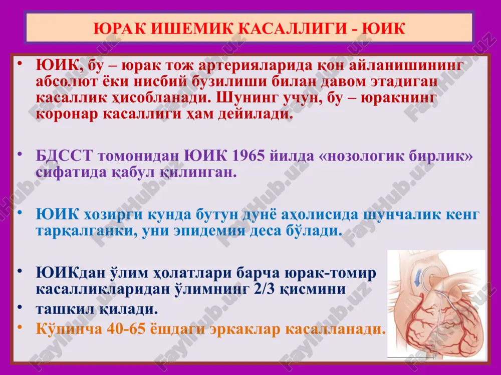 miokard infarktining joylanishi 1. ishemiya davri bu davr boshlang'ich 18-24 soatga to'g'ri keladi. bunda infarkt o'chog'ini ko'z bilan aniqlab bo'lmaydi. mikroskop ostida 6-8-soatlarda tomirlar kengayishi, eritrotsitlar stazi va gliko-genning yo'qolishi kuzatiladi 10-18-soatlarda qon quyilish, leykodiapedez, mushak tolalarida ko'ndalang targ'illik yo'qolishi, to'q qizil bo'yalishi kuzatiladi. yuik – miokard infarktining morfologik davrlari 2. nekrozlanish davri ko'z bilan qaralganda oq-sariq rangli ba'zida qizil xoshiyali nekroz o'chog'i aniqlanadi. mikroskop ostida ko'rilganda mushak tolalari qalinlashgan, ko'ndalang targ'illigi yo'qolgan, yadrolari lizislanib yo'qolgan. nekroz atrofida yallig'lanishli demarkatsiya xalqasi aniqlanadi. agar subendokardial joylashgan bo'lsa, endokardda tromboz, subepikardial bo'lsa fibrinozli perikardit aniqlanadi. yuik – miokard infarktining morfologik davrlari 3. chandiqlanish davri ko'z bilan qaralganda oq rangli, qattiq, mushak qatlamiga kirib tarqalgan o'choq topiladi. mikroskop ostida ko'rilganda mushak tolalari o'rnida biriktiruvchi to'qima o'sganligi aniqlanadi. nekroz atrofida mushak tolalarining gipertrofiyalanganligi kuzatiladi. yirik o'choqli postinqarkt kardioskleroz aniqlanadi. yuik – miokard infarktining morfologik davrlari 3. asoratlari va o'lim sabablari kardiogen shok qorinchalar fibrillyatsiyasi …