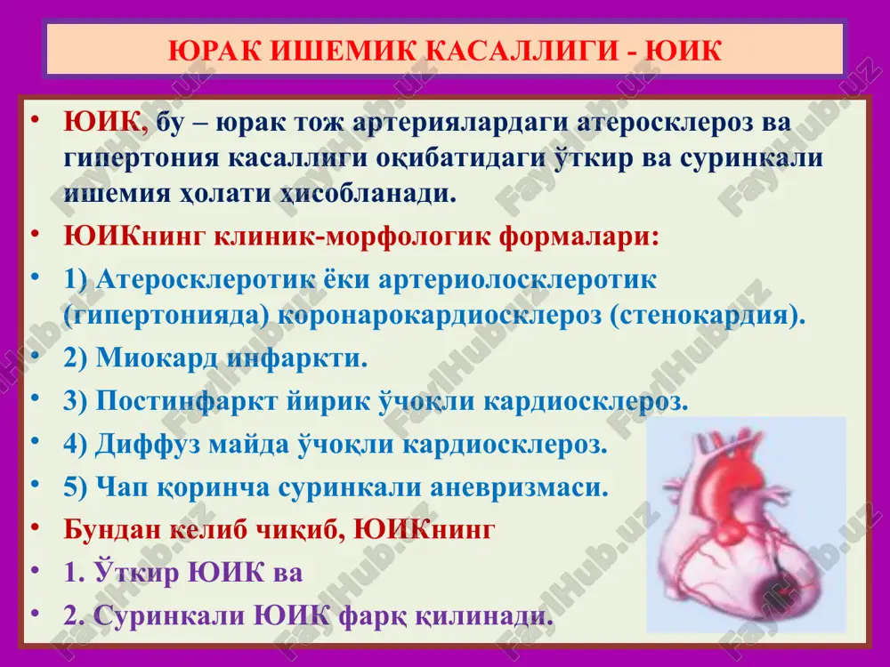 chog'ini ko'z bilan aniqlab bo'lmaydi. mikroskop ostida 6-8-soatlarda tomirlar kengayishi, eritrotsitlar stazi va gliko-genning yo'qolishi kuzatiladi 10-18-soatlarda qon quyilish, leykodiapedez, mushak tolalarida ko'ndalang targ'illik yo'qolishi, to'q qizil bo'yalishi kuzatiladi. yuik – miokard infarktining morfologik davrlari 2. nekrozlanish davri ko'z bilan qaralganda oq-sariq rangli ba'zida qizil xoshiyali nekroz o'chog'i aniqlanadi. mikroskop ostida ko'rilganda mushak tolalari qalinlashgan, ko'ndalang targ'illigi yo'qolgan, yadrolari lizislanib yo'qolgan. nekroz atrofida yallig'lanishli demarkatsiya xalqasi aniqlanadi. agar subendokardial joylashgan bo'lsa, endokardda tromboz, subepikardial bo'lsa fibrinozli perikardit aniqlanadi. yuik – miokard infarktining morfologik davrlari 3. chandiqlanish davri ko'z bilan qaralganda oq rangli, qattiq, mushak qatlamiga kirib tarqalgan o'choq topiladi. mikroskop ostida ko'rilganda mushak tolalari o'rnida biriktiruvchi to'qima o'sganligi aniqlanadi. nekroz atrofida mushak tolalarining gipertrofiyalanganligi kuzatiladi. yirik o'choqli postinqarkt kardioskleroz aniqlanadi. yuik – miokard infarktining morfologik davrlari 3. asoratlari va o'lim sabablari kardiogen shok qorinchalar fibrillyatsiyasi o'tkir yurak etishmasligi qorincha o'tkir anevrizmasi miomalyatsiya va yorilish qorinchada tromboz perikardit qorincha anevrizmasi tromboemboliyalar …