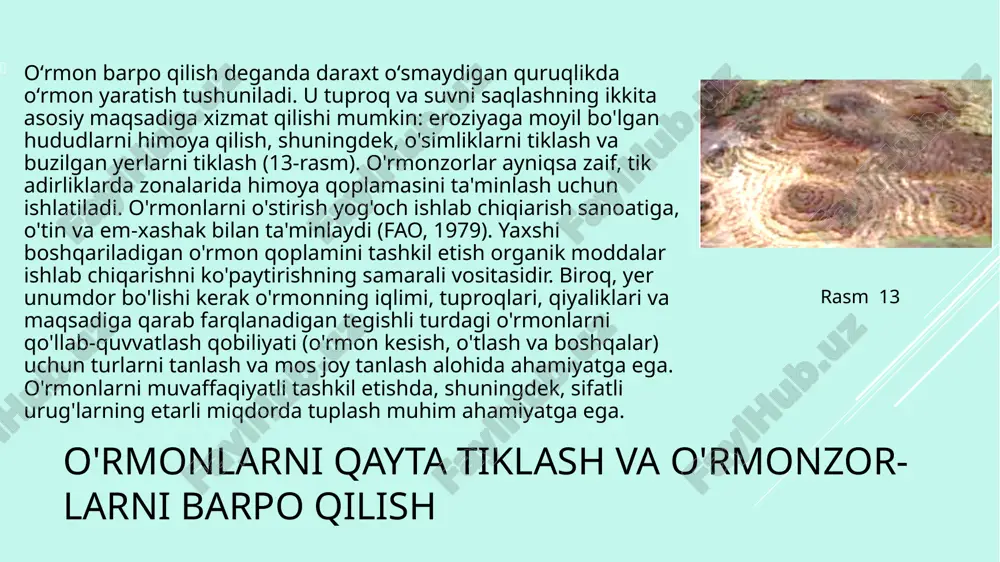 yoki ko'chatlar o'simliklarni ko'chirib o'tkazish orqali erishish mumkin. to'g'ridan-to'g'ri ekishning asosiy afzalligi - xarajatlarni kamaytirish. biroq, bu odatda kamroq ishonchli va faqat quyidagi hollarda oqlanadi: urug'lar ko'p va arzon; dalada niholga ishonishingiz mumkin; ko'chatlar tezda chuqur ildiz otadi va unib chiqqandan keyingi davrda noqulay iqlim sharoitlariga bardosh bera oladi; o'sish sur'ati etarlicha tez bo'lib, uzoq vaqt parvarishlash va begona o'tlarni olib tashlash kerak bo’lmaydi. tabiiy o'simliklar olamini tiklash tabiiy o'tloqlar va o'rmonlarni tiklash biomassa ishlab chiqarishni oshiradi va o'simlik turlarining xilma-xilligini yaxshilaydi, natijada tuproq biotasi va boshqa foydali organizmlar xilma-xil bo'ladi. yer unchalik unumli bo'lmagan joyda tabiiy yangilanish ishonchliroq bo'lishi mumkin. ba'zi hollarda ma'lum bir hududning tabiiy qayta tiklanishi begona o'tlarning kirib kelishiga olib kelishi mumkin. tabiiy o'simliklar o'zining ko'p maqsadli foydalari, masalan, o'tin, tola yoki dorivor o'simliklar, tuproq unumdorligini (dukkakli o'simliklar ekish orqali) turli xil foydali changlatuvchilar va hasharotlar, shuningdek, yovvoyi tabiatning yashash joylariga qayta tiklashi bilan tobora ahamiyati …