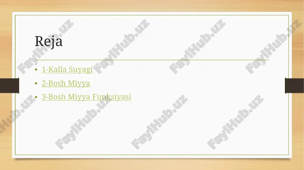 bosh miyya - Page 2