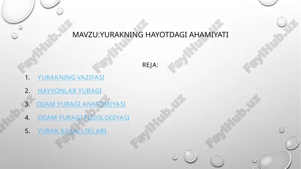 lalarda yurak yumaloq shaklda boʻlib, diafragma gumbazi balandroq, koʻndalang va yuqoriroq joylashgan, ayrisimon bez uni toʻsh suyagidan ancha orqa tomonga surib turadi. keyinchalik, 1-3 yoshda yurak koʻndalang vaziyatini oʻzgartiradi va katta odamlarda boʻlganidek, qiyshiq holatda joylashadi. yurakning oʻrtacha ogʻirligi erkaklarda 300 g, ayollarda biroz kamroq (220-250 gr). yurakning uzunligi oʻrta yoshdagi odamlarda 13-15 sm, eng keng qismi (koʻndalangiga) 9-11 sm, oldingi sathi bilan orqa sathining uzunligi 6-7 sm. yurak tashqi yuzasining oʻtkir (oʻng) va oʻtmas (chap) chekkalari uni orqa, old tomondagi yuzalarga ajratib turadi. har bir odam yuragining kattaligi oʻzining oʻng mushtidek keladi. oʻrta yoshdagi odamning yuragi bir minutda oʻrta hisobda 70-75 marta, bir sutkada 100000 marta qisqara oladi. bu esa 20 t yukni 1 m balandlikka koʻtarish kuchiga teng. yurakning ustki chegarasi iii qovurgʻa togʻayining toʻsh suyagiga yopishayotgan joyidan oʻtkazilgan gorizontal chiziqqa toʻgʻri keladi. yurakning oʻng chegarasi toʻsh suyagining oʻng chekkasidan (oʻng iii va v qovurgʻalar roʻparasida) 2-3 sm …