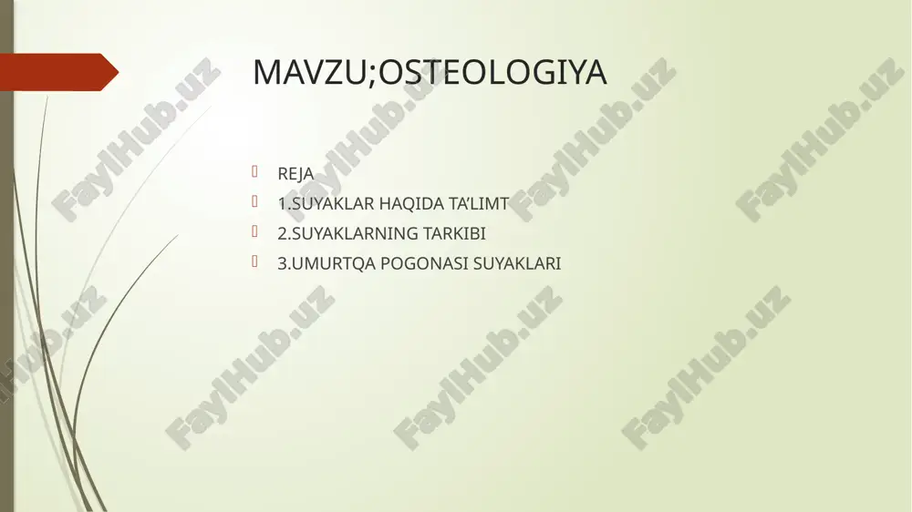 pogʻonasi ahamiyatiga koʻra qator qismlarga boʻlinadi. baliqlar umurtqa pogʻonasi qovurgʻali tana va dum, qurukliqdagi umurtqali hayvonlarniki boʻyin, koʻkrak, bel (baʼzi guruh vakillarida yoʻq), dumgʻaza va dum qismlaridan iborat. boshni atrofga harakatlantirish zarurati boʻyin qismining paydo boʻlishiga olib kelgan. amfibiyalarda bitta, sudralib yuruvchilarda 4—9 (baʼzilarida koʻp), qushlarda 11—25, sut emizuvchilarda 7—10 ta boʻyin umurtqasi bor. umurtqa pogʻonasining koʻkrak qismida qovurgʻalar boʻlib, koʻpchiligi toʻsh suyagi bilan birikib koʻkrak qafasinn (amfibiyalarda yoʻq) hosil qiladi. bel qismda (amfibiyalar va sudralib yuruvchilarda yoʻq) rudimentar qovurgʻalar mavjud. dumgʻaza umurtqalari (amfibiyalarda bitta, sudralib yuruvchilarda 2, sut emizuvchilarda 1 —10 ta va hokazo) chanoq suyagi bilan koʻrinishi oʻzgargan qovurgʻalar yordamida tutashgan. odamda umurtqa pogʻonasi boʻyin, koʻkrak, bel, dumgʻaza va dum suyaklari – umurtqalarning ustma-ust qoʻshiluvidan tashkil topadi. umurtqa pogʻonasi shu umurtqa tanalarining orasida joylashgan togʻay disklar hisobiga uzayadi. umurtqalar bir-biriga ulanib borishi natijasida umurtqa kanali hosil boʻlib, unda orqa miya yotadi. odam umurtqa pogʻonasi kishining tik yurishiga moslashgan …