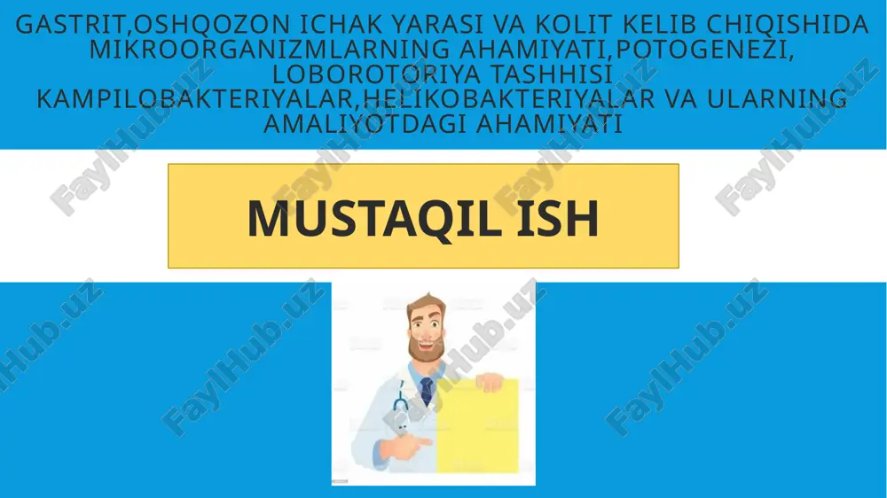 tsiya: h. pylori odatda bolalik davrida yuqadi va odamdan odamga (odatda oila a'zolari o'rtasida) so'lak, qusish massalari yoki ifloslangan oziq-ovqat/suv orqali tarqaladi. • kolonizatsiya: bakteriya oshqozonning shilliq qavatida kolonizatsiya hosil qiladi, u yerda ureaza fermenti yordamida siydik kislotasini ammiak va karbonat angidridga parchalaydi, bu esa bakteriyani oshqozon kislotasidan himoya qiladi. yallig'lanish: h. pylori shilliq qavatga zarar yetkazadi, bu esa yallig'lanishga olib keladi. bakteriya tomonidan ishlab chiqarilgan toksinlar va fermentlar (masalan, caga, vaca) hujayralar shikastlanishiga va apoptozga olib kelishi mumkin. • yara hosil bo'lishi: surunkali yallig'lanish oshqozon shilliq qavatining zaiflashishiga va yara hosil bo'lishiga olib keladi. ba'zi odamlarda h. pylori oshqozon saratoni xavfini ham oshirishi mumkin. kampilobakteriyalar: • infektsiya: campylobacter jejuni va boshqa turlari odamlarga ifloslangan oziq-ovqat (ayniqsa, xom yoki yaxshi pishirilmagan parranda go'shti), suv yoki hayvonlar bilan aloqa orqali yuqadi. • ichaklarda kolonizatsiya: bakteriya ingichka ichak va yo'g'on ichakda kolonizatsiya hosil qiladi. yallig'lanish: campylobacter ichak hujayralariga invaziya qiladi va toksinlar …