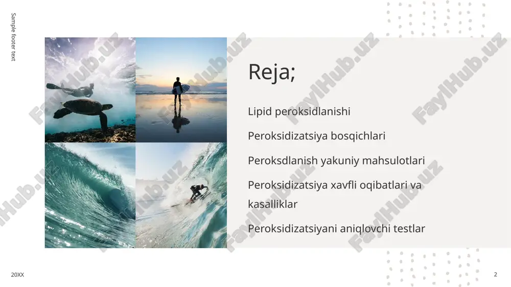 tadi, chunki yangi yog' kislotasi radikali xuddi shunday reaksiyaga kirishadi. 20xx 5 radikal radikal bo'lmagan bilan reaksiyaga kirishganda, u boshqa radikal hosil qilishi mumkin, shuning uchun jarayon "zanjirli reaktsiya mexanizmi" deb ataladi. ikki radikal reaksiyaga kirishib, radikal bo'lmagan tur hosil qilganda radikal reaktsiya to'xtaydi. bu faqat radikal turlarning kontsentratsiyasi ikki radikalning to'qnashuvi ehtimoli yuqori bo'lishi uchun etarlicha yuqori bo'lganda sodir bo'ladi. tirik organizmlar erkin radikallarni zararsizlantirish va shuning uchun hujayra membranasini himoya qilish orqali tugatishni tezlashtiradigan turli molekulalarga ega. vitamin c va e vitamini kabi antioksidantlar lipid peroksidatsiyasini inhibe qilishi mumkin. [1] tanadagi boshqa antioksidlovchilarga superoksid dismutaza , katalaza va peroksidaza fermentlari kiradi . muqobil, farmatsevtik usul qo'sh bog'lanishlar orasidagi metilen ko'priklarida (bis-alilik joylari) deyterlangan ko'p to'yinmagan yog'li kislotalarning ( pufa) lipid peroksidatsiyasiga izotop ta'sirini qo'llaydi, bu esa zanjir reaktsiyasini inhibe qilishga olib keladi. bunday d-pufa'lar, masalan, 11,11-d2-etil linoleat membranalarga nisbatan past darajada qo'shilganda ham lipid peroksidatsiyasini bostiradi. 20xx 6 …