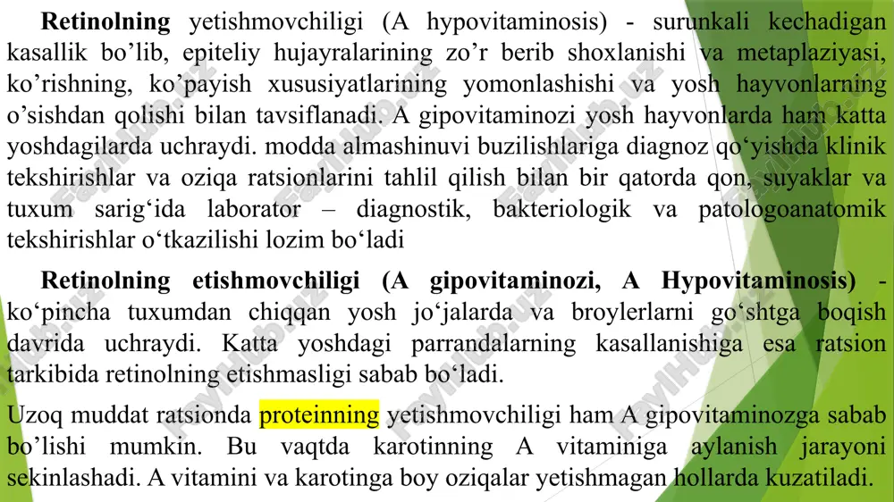 . ko’rishning pasayishi kuzatiladi. rivojlanishi. parrandalarda retinol jigarda zahira holida to‘planib turadi va ehtiyojga yarasha sarflanadi. organizmda retinolning etishmovchiligi oqsil, yog‘lar, fosfor va boshqa moddalar almashinuvining buzilishiga sabab bo‘ladi. retinol yosh organizmning normal o‘sishi va rivojlanishini, katta yoshda ko‘payish faoliyati va mahsuldorlikni ta’minlovchi omil hisoblanadi. uning tanqisligida shilliq pardalarning kreatinizatsiyasi, hazm va nafas tizimi kasalliklariga moyillikning ortishi, suyak va nerv to‘qimasi rivojlanishining buzilishi, ko‘z kasalliklarining kelib chiqishi va organizmning immunobiologik xususiyatlarining izdan chiqishi kuzatiladi. belgilari. klinik belgilar asta - sekin rivojlanib boradi, avvaliga toj va sirg‘alarning oqarishi, keyinchalik ko‘karishi, umumiy holsizlanish belgilari, ishtahaning pasayishi, o‘sishdan qolish, ariqlash, terining yupqalashishi, kon’yuktivit, patlarning hurpayishi, nafas va hazm tizimlarining jarohatlanishi belgilari (burun teshiklaridan zardobli kataral oqmalar oqishi, laringotraxeit, jig‘ildon, oshqozon, ichaklar va kloakaning yallig‘lanishi) kuzatiladi. til va tomoqning sarg‘ich - oqimtir massa bilan qoplanishi, nerv faoliyatining buzilishi belgilari (bo‘yinning buralib qolishi, falaji), ona tovuqlarda tuxum berishning, tuxum tarkibidagi retinol va karotinoidlarning keskin kamayishi …
