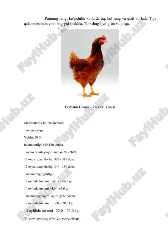 g‘i oqish rangda bo‘ladi. go‘sht yo‘nalishidagi tovuq va xo‘rozlar tuxum yo‘nalishidagi zotlarga nisbatan tanasining va tirik vaznining kattaligi bilan ajralib turadi, ularda tana tuzilishining go‘shtli tipi yaxshi rivojlangan. tuxum maxsulotiga mansub parrandalarga nisbatan go‘sht yo‘nalishidagi tovuqlarning boshi vaznli, tanasi keng, bo‘yin va orqa go‘shti kalta, bilak suyagi yo‘g‘on va oyoqlari kalta bo‘ladi. patining rangi ko‘pchilik xollarda oq, kul rang va qizil bo‘ladi. toji qalampirsimon yoki bog‘gul shaklda. tumshug‘i yo‘g‘on va qisqa. lomann broun – klassik krossi mahsuldorlik ko‘rsatkichlari: tuxumdorligi: yoshi, 50 % tuxumdorligi 140-150 kunda tuxum berish yuqori nuqtasi 92 - 94% 12 oyda tuxumdorligi 305 - 315 dona 12 oyda tuxumdorligi 340 - 350 dona tuxumining og‘irligi: 12 oylikda tuxumi 63,5 – 64,5 gr 14 oylikda tuxumi 64,0 – 65,0 gr tuxumining hajmi, og‘irligi bo‘yicha: 12 oylikda tuxumi 19,0 – 20,0 kg 14 oylikda tuxumi 22,0 – 23,0 kg tuxumlarining sifat ko‘rsatkichlari: tuxum po‘chog‘ining rangi jigar rangda po‘chog‘ining qattiqligi …