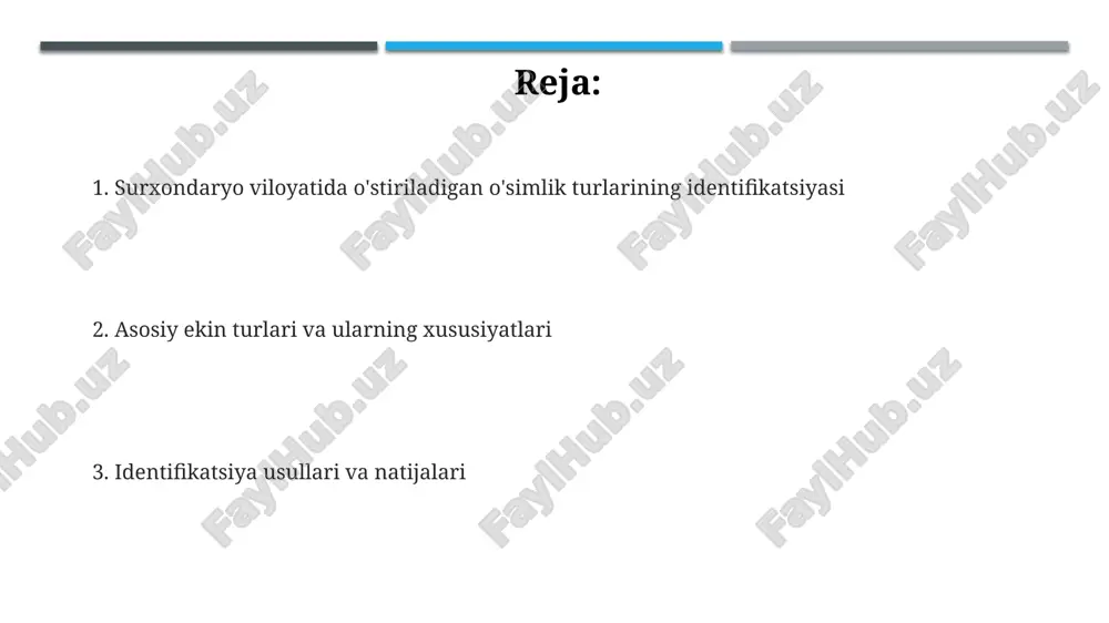 surxondaryo viloyatida o'simlik turlarini aniqlash - Page 2