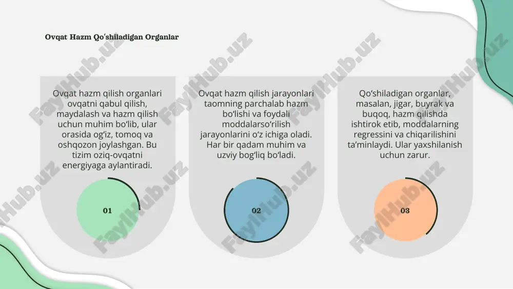 -bosqich amalga oshadi, og'iz, oshqozon va ichaklar oziq-ovqatni parchalab, qabul qilinadigan shaklga keltiradi. hamma organlar birga ishlab, yaxshi ovqat hazm qilish va sog‘lom turmush uchun muhim bo'lgan energiya va ozuqa moddalarini ta'minlaydi. hazm qismlarining funktsiyalari ovqat hazm qilish organlari oziq-ovqatni qabul qilishdan tortib, singdirish va chiqarishga qadar muhim funksiyalarni bajaradi. ular organizm uchun energiya ta’minlaydi. yutqazish, qizil ichak, oshqozon va jigar kabi organlar hazm jarayonida ishtirok etadi. har bir qism o'z funksiyasini bajaradi va muvofiqlashtirilgan ishlaydi. hazm qiluvchi qismlar oziq-ovqatdan foydali moddalarni ajratib oladi va zararlilarni chiqarib tashlaydi. bu jarayon organizmning sog'ligini ta’minlash uchun muhimdir. 01 03 02 ovqat hazmida gidroliz ovqat hazm qilish organlari iste'mol qilingan oziq-ovqatni singdirish va antvor qilish uchun muhimdir. ular maxsus shakl va funktsiyaga ega bo'lib, tarqaladi. ovqat hazm qilish jarayonlarida gidroliz muhim ahamiyatga ega bo'lib, u qabiy oziq moddalarning parchalantirilishini ta'minlaydi va ularni qonga singdiradi. gidroliz jarayonida suyuqliklar va fermentlar yordamida murakkab moddalar oddiy …