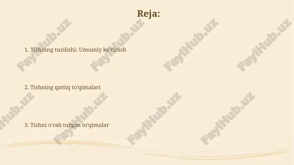 n tomirlari va nerv tolalari mavjud bo'lib, ular tishning oziqlanishi va sezgirligini ta'minlaydi. har bir tish pulpasida o'rtacha 100-300 ta mayda qon tomirlari va bir necha yuz nerv tolalari mavjud. periodontal boylam periodontal boylam, o'zining tolali tuzilishi orqali tishni alveolyar suyakka bog'laydi, bu esa tish harakatlanishi paytida 25-40 mkm bosimni taqsimlashga yordam beradi. periodontal boylamda kollagen tolalarining asosiy guruhi bo'lgan sharpey tolalari mavjud bo'lib, ular tsement va suyak to'qimalariga kirib, tishning mustahkamligini ta'minlaydi. alveolyar suyak alveolyar suyak tishlarni o'z ichiga olgan jag' suyagining bir qismi bo'lib, asosiy vazifasi tishlarni o'rnida ushlab turish va ularning barqarorligini ta'minlashdir. alveolyar suyakda osteoblastlar (suyak hosil qiluvchi hujayralar) va osteoklastlar (suyakni yemiruvchi hujayralar) doimiy ravishda yangilanib turadi, bu suyak remodeling jarayonini ta'minlaydi. gingiva (milk) sut tishlari gingivasida qalinligi taxminan 0,5-1,5 mm bo'lgan keratinlangan epiteliy mavjud bo'lib, bu yallig'lanishga qarshilikni ta'minlaydi. bolalardagi gingiva kapillyarlarga boyligi sababli kattalarnikiga nisbatan qizilroq ko'rinishga ega va qon aylanishi tezlashgan. tishning …
