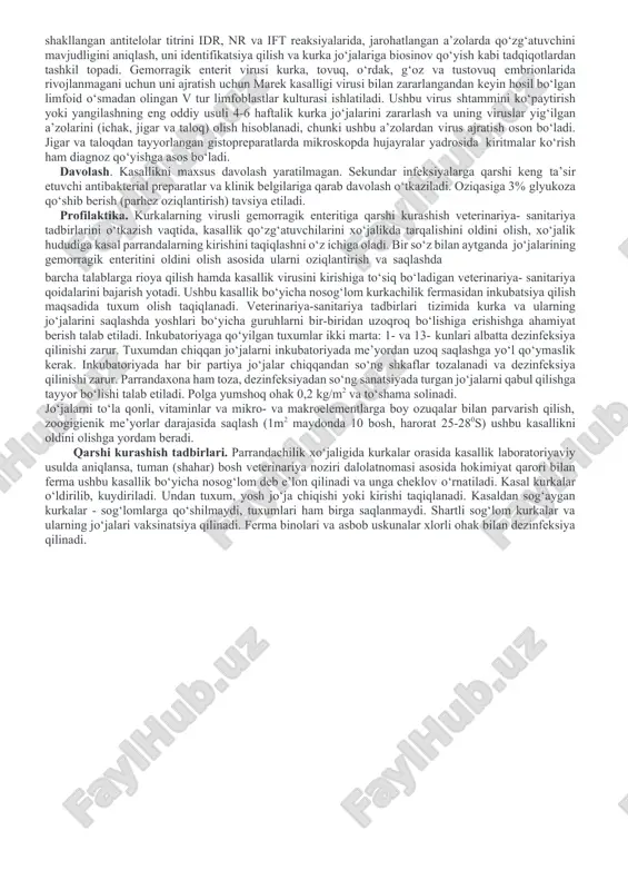 shlov berilsa tez yo‘qoladi. u 370s da 4 hafta o‘z virulentligini saqlaydi. tabiatda ushbu virusning 4 ta serotipi mavjud. ularning serologik xususiyatlari tustovuqlarning “mramorli taloq” virusiga yaqin. epizootologiyasi. gemorragik enteritga kurka jo‘jalarining 4 -12 haftaligi juda moyil. ular virus bilan zararlantirilganda kasallik begilarisiz virus tashuvchanlik yoki juda ham kam klinik belgilar bilan kechadi. 50% kasal kurka jo‘jalari o‘ladi. kasallik qo‘zg‘atuvchisi manbai bo‘lib, kasal va virus tashuvsi kurkalar xizmat qiladi. qo‘zg‘atuvchi asosan kontakt, alimentar va transovarial yo‘llar bilan bir kurkadan ikkinchisiga o‘tadi. kasallikni paydo bo‘lishiga organizm rezistentligini tushiruvchi omillar (antisanitariya, jo‘jalarni saqlash texnologiyalarining zoogigienik me’yorlarga to‘g‘ri kelmasligi, oziqlantirishdagi kamchiliklar, har xil toksikozlar, elvizak, sekundar infeksiyalar va boshq.) kumaklashadi. patogenezi. qo‘zg‘atuvchisi yaralangan joyda giperemiya (qizarish) kuzatiladi. ikki kun o‘tib taloq, limfositlarda, 2-3 kun o‘tib qon va to‘qima, organlarda rivojlanadi. kurkalarga 19 kun o‘tib kasallik yuqtirilgandan so‘ng organizmda antitelo hosil bo‘ladi va kasallik asta-sekin chekinadi. kasallangan kurkalarda immunodepressiya holatlari kamaygani, parrandalarda sog‘ayishi kuzatiladi. …