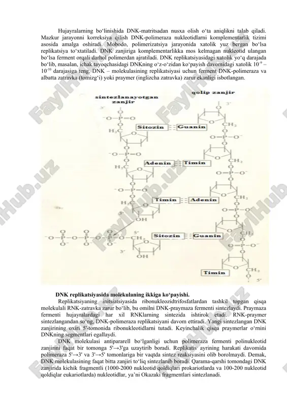 qaytar bo‘lmaydi. dnk replikatsiyasining oxirida bir zanjirli molekuladan ikki-bizanjirli molekula davriy ravishda sintezlanadi. reaksiyaning xarakterli tomoni shundan iboratki, sintezlanayotgan molekula ona dnk zanjirining aynan o‘zidir. dnkning replikatsiyasida ko‘p miqdorda oqsil-fermentlar ishtirok etganliklari uchun mazkur tizim murakkab, samarali replikativ harakatdagi jarayon hisoblanadi. dnkning replikatsiyasi 5'→3' tomoniga matritsa asosida dnk polimeraza fermenti ishtirokida sodir bo‘ladi. dnkning sintezlovchi ferment har soniyada 50 ta nukleotid eukariotlarda, bakteriyalarda esa 500 dezoksinukleotidlarni polimerlash xususiyatiga ega. hujayralarning bo‘linishida dnk-matritsadan nusxa olish o‘ta aniqlikni talab qiladi. mazkur jarayonni korreksiya qilish dnk-polimeraza nukleotidlarni komplementarlik tizimi asosida amalga oshiradi. mobodo, polimerizatsiya jarayonida xatolik yuz bergan bo‘lsa replikatsiya to‘xtatiladi. dnk zanjiriga komplementarlikka mos kelmagan nukleotid ulangan bo‘lsa ferment orqali darhol polimerdan ajratiladi. dnk replikatsiyasidagi xatolik yo‘q darajada bo‘lib, masalan, ichak tayoqchasidagi dnkning o‘z-o‘zidan ko‘payish davomidagi xatolik 10-9 – 10-10 darajasiga teng. dnk – molekulasining replikatsiyasi uchun ferment dnk-polimeraza va albatta zatravka (tomizg‘i) yoki praymer (inglizcha zatravka) zarur ekanligi isbotlangan. dnk replikatsiyasida …