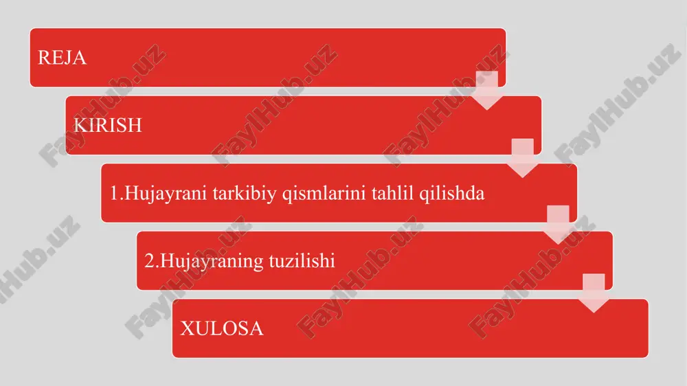 tin (dnk va protsin), va nukleolusdan iborat. • ribosomalar: protein sintezini amalga oshiradigan kichik organellar. ular erkin ribosoma yoki endoplazmik retikulumda joylashishi mumkin. • mitokondriya: energiya ishlab chiqaruvchi organella bo'lib, atp sintezini amalga oshiradi (hujayra respiratsiyasi). • endoplazmik retikulum (er): protein va lipidlarni sintez qiluvchi va transport qiluvchi tarmoq. er ikki turga bo'linadi: quruq (ribosomali) va silliq (ribosomasiz). • golji apparati: hujayra ichida moddalarning yig'ilishi va tarqatilishi uchun mas'ul bo'lgan organella. u moddalarning kemasini (postreratsiya) boshlaydi. • lizozomlar: hujayra uchun foydalanilmayan yoki zarur bo'lmagan moddalarning parchalanishini ta'minlaydigan organellar. • sitoskelet: hujayra shaklini va harakatini saqlab turadigan tuzilmalar, masalan, mikrofilamentlar va mikrotubuller. hujayraning tuzilishi xulosa hujayraning tarkibiy qismlarini tahlil qilish jarayoni, uning tuzilishi va funksional holatini yaxshilab tushunishga yordam beradi. har bir komponent o'zining maxsus funktsiyalariga ega bo'lib, hujayraning hayot faoliyatini amalga oshiradi. hujayralarning xususi, qurilishi va ular o'rtasidagi murakkab o'zaro aloqalar, organizmning umumiy funksiyalarini belgilaydi. hujayraning tabiati va uning tarkibiy …