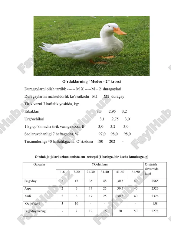 , 10 bosh hisobiga haftasiga bir marta 0,5-1, kg mayda (qizil qum) yuvilgan holda beriladi. o‘rdak jo‘jalarini donli oziqalar bilan oziqlantirilganda, har bir bosh hisobiga oxur 1sm, omixta em uchun 3-6 sm, sersuv aralashma oziqa uchun 5-12 sm to‘g‘ri kelishi kerak. suv ichishi uchun 2-3 smli suvdon bo‘lishi shart. o‘rdaklarning “medeo - 2” krossi duragaylarni olish tartibi: ------ m x -----m – 2 duragaylari duragaylarini mahsuldorlik ko‘rsatkichi m1 m2 duragay tirik vazni 7 haftalik yoshida, kg: erkaklari 3,3 2,95 3,2 urg‘ochilari 3,1 2,75 3,0 1 kg qo‘shimcha tirik vaznga oz.sarfi 3,0 3,2 3,0 saqlaruvchanligi 7 haftagacha, % 97,0 98,0 98,0 tuxumdorligi 40 haftalikgacha. o‘rt./dona 180 202 - o‘rdak jo‘jalari uchun omixta em retsepti (1 boshga, bir kecha kunduzga, g) oziqalar yoshi, kun o‘stirish davomida jami 1-6 7-20 21-30 31-40 41-60 61-90 bug‘doy 5 15 35 48 30,5 40 2565 arpa 2 6 17 25 30,5 40 2326 suli 2 6 …